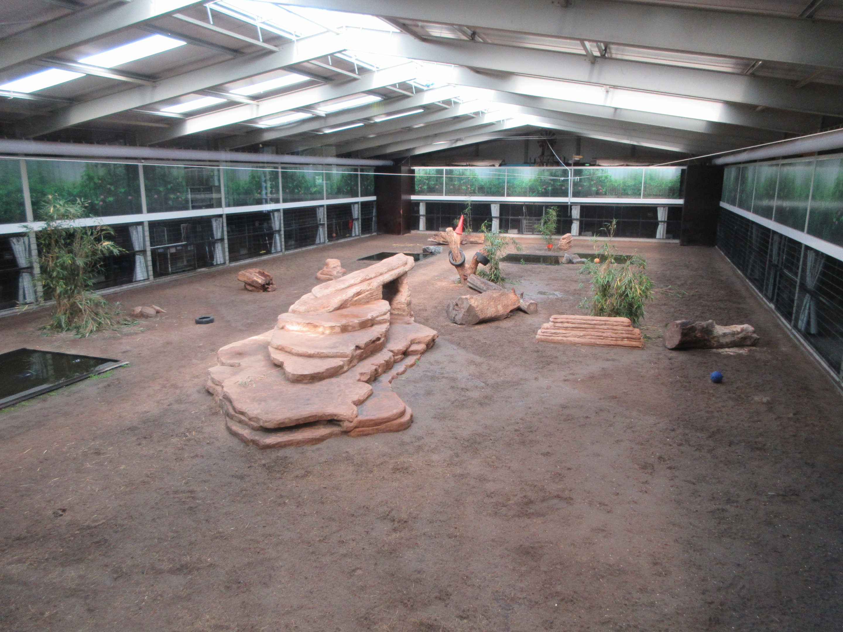 Big Cat Complex - Central Exhibit