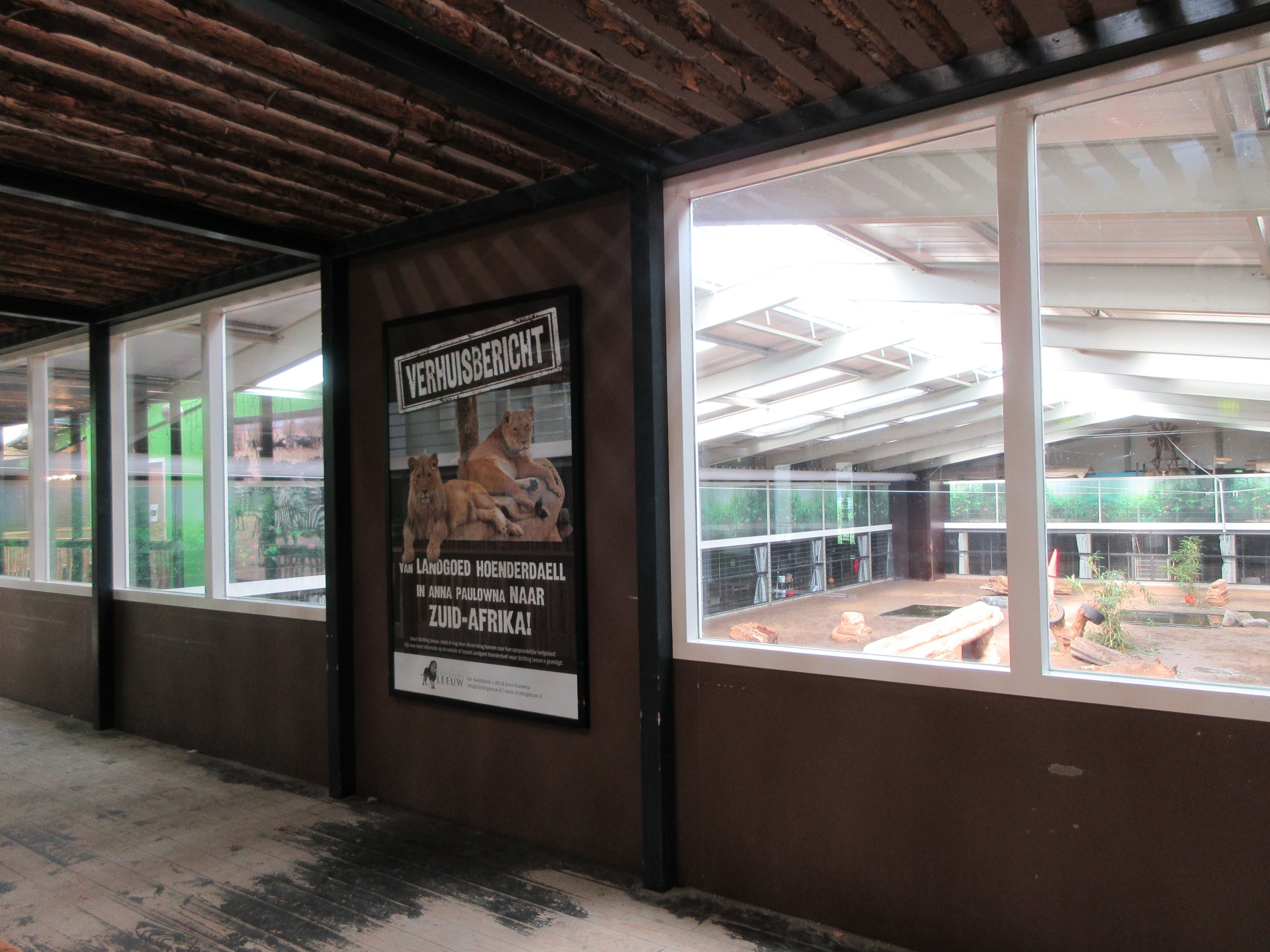 Big Cat Complex - Central Exhibit