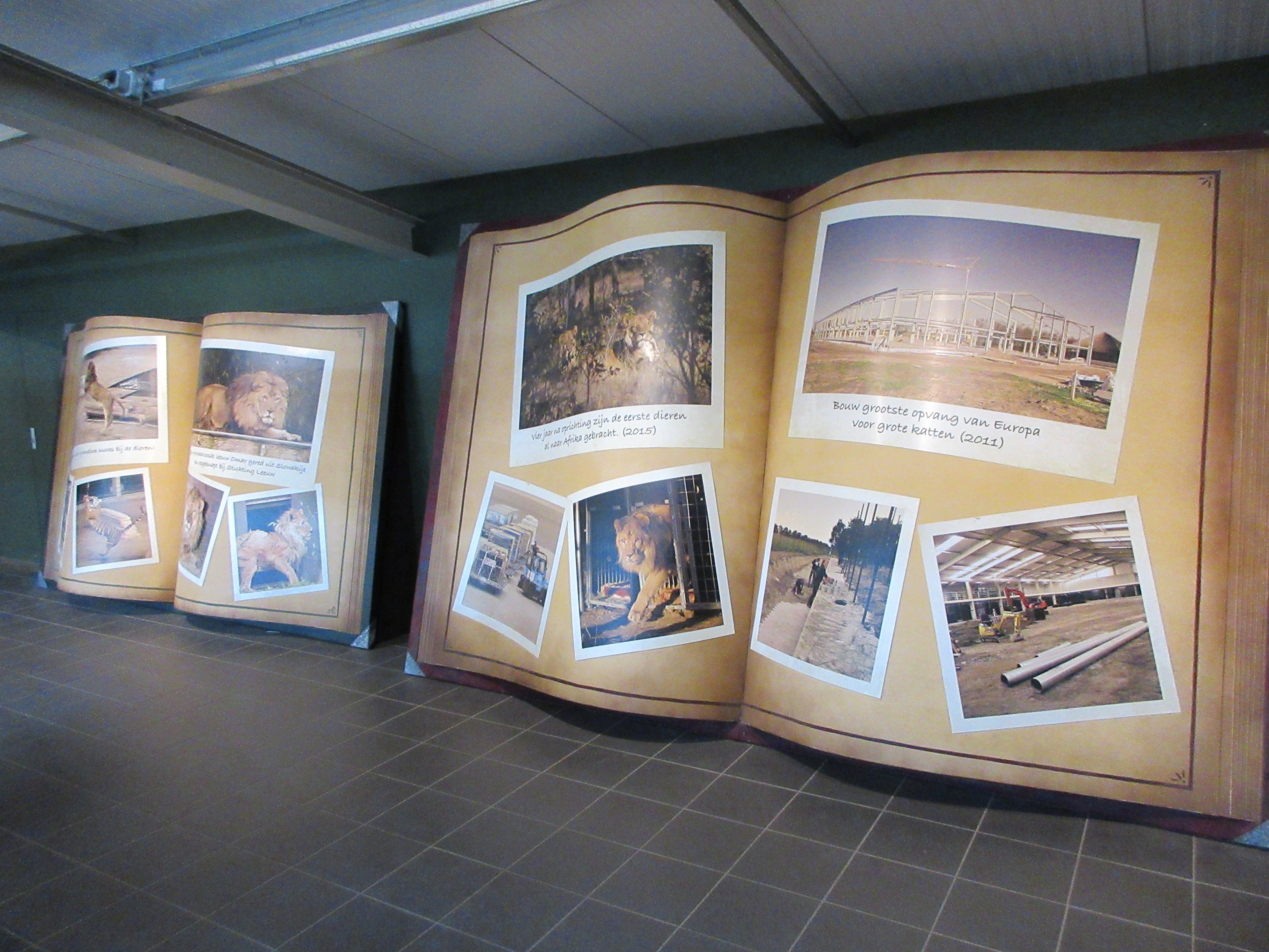 Big Cat Complex - Pedagogical Material (7-Foot Pages!)