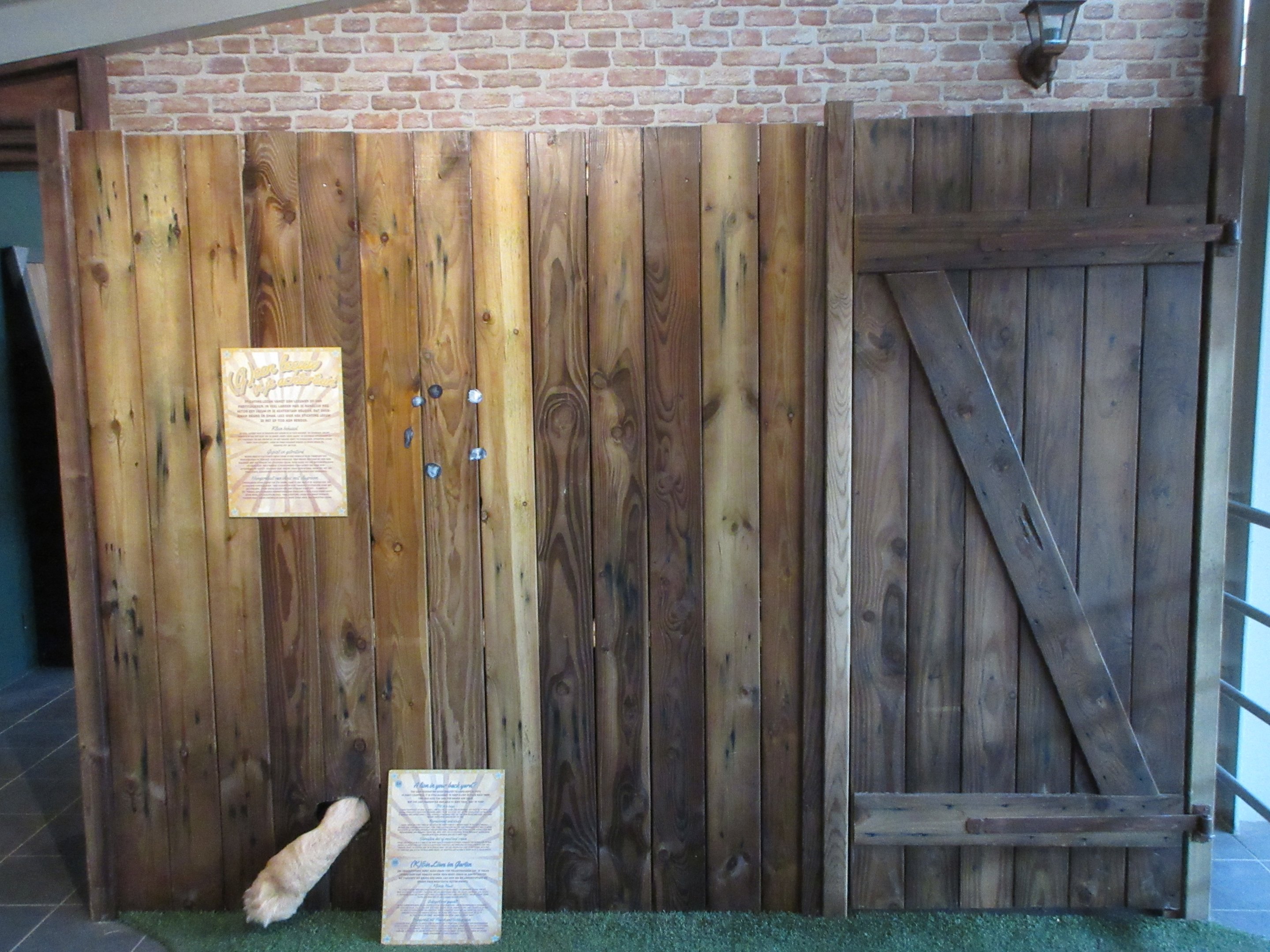 Big Cat Complex - Pedagogical Material (a lion's paw!)