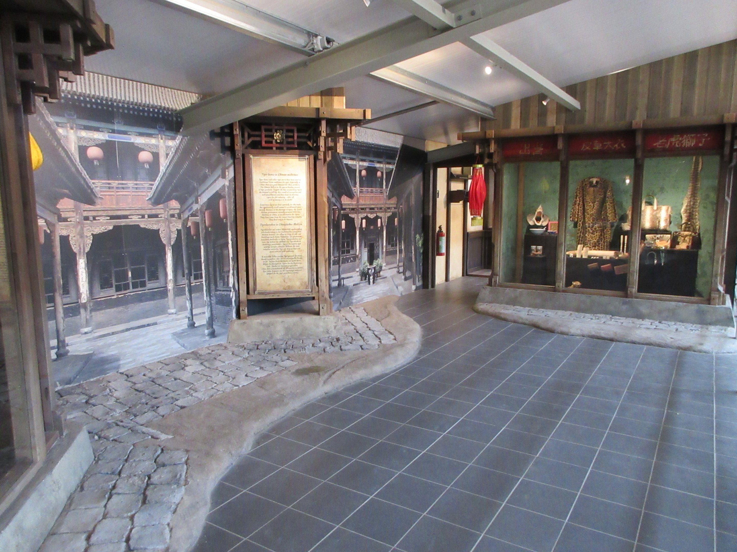 Big Cat Complex - Pedagogical Material (Chinese Shop)