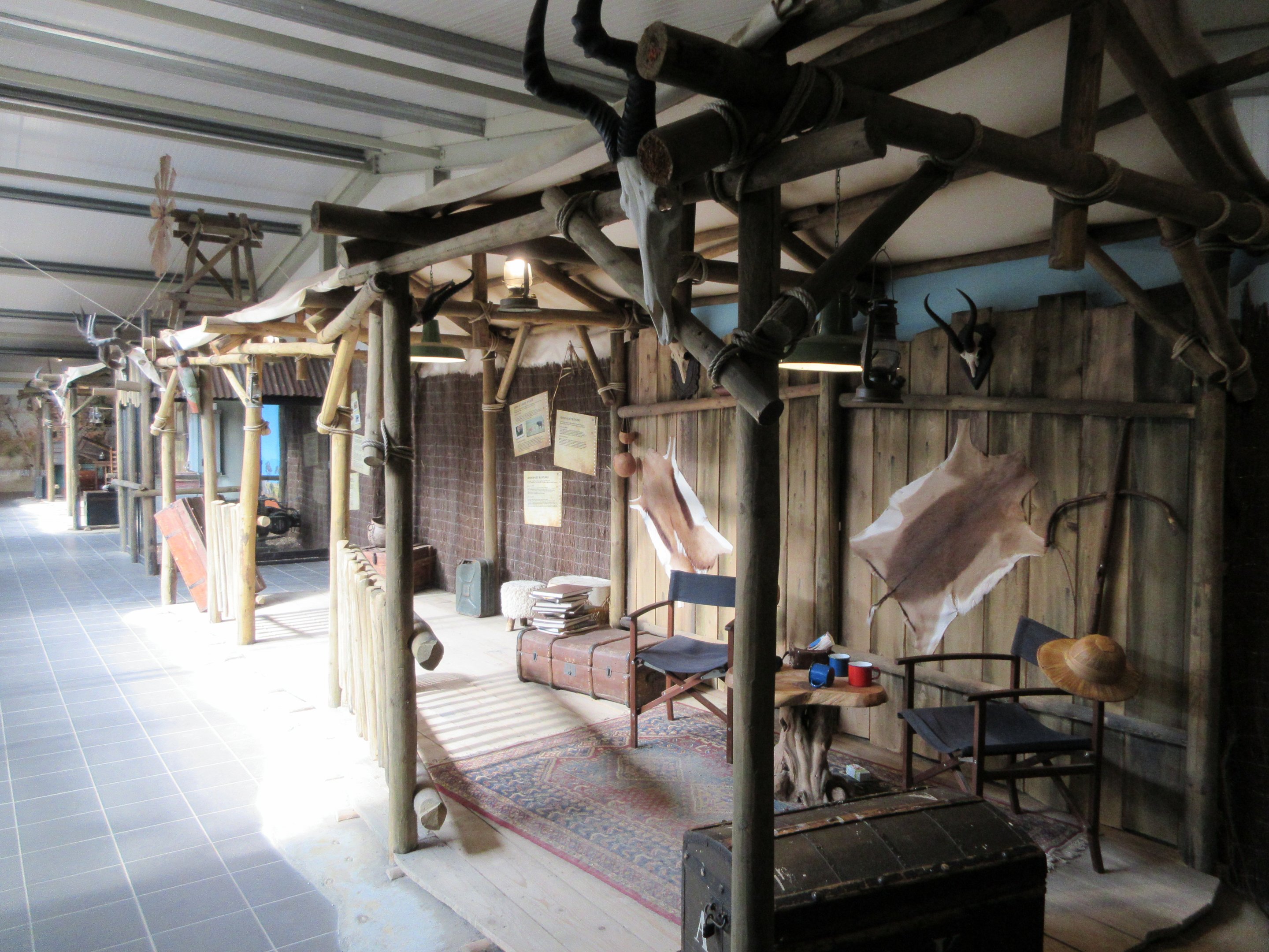 Big Cat Complex - Pedagogical Material (Hunting Lodge)