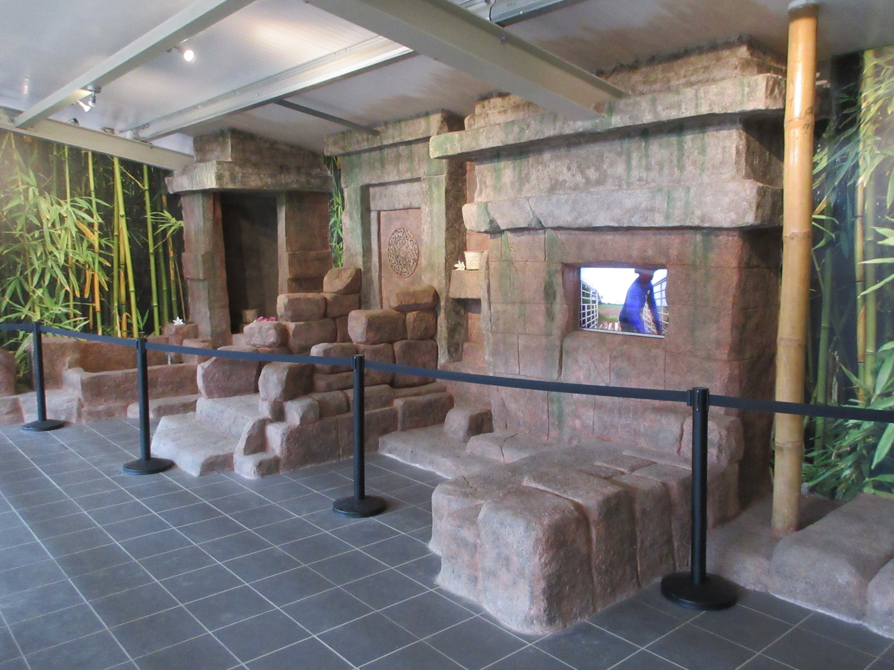 Big Cat Complex - Pedagogical Material (Temple)