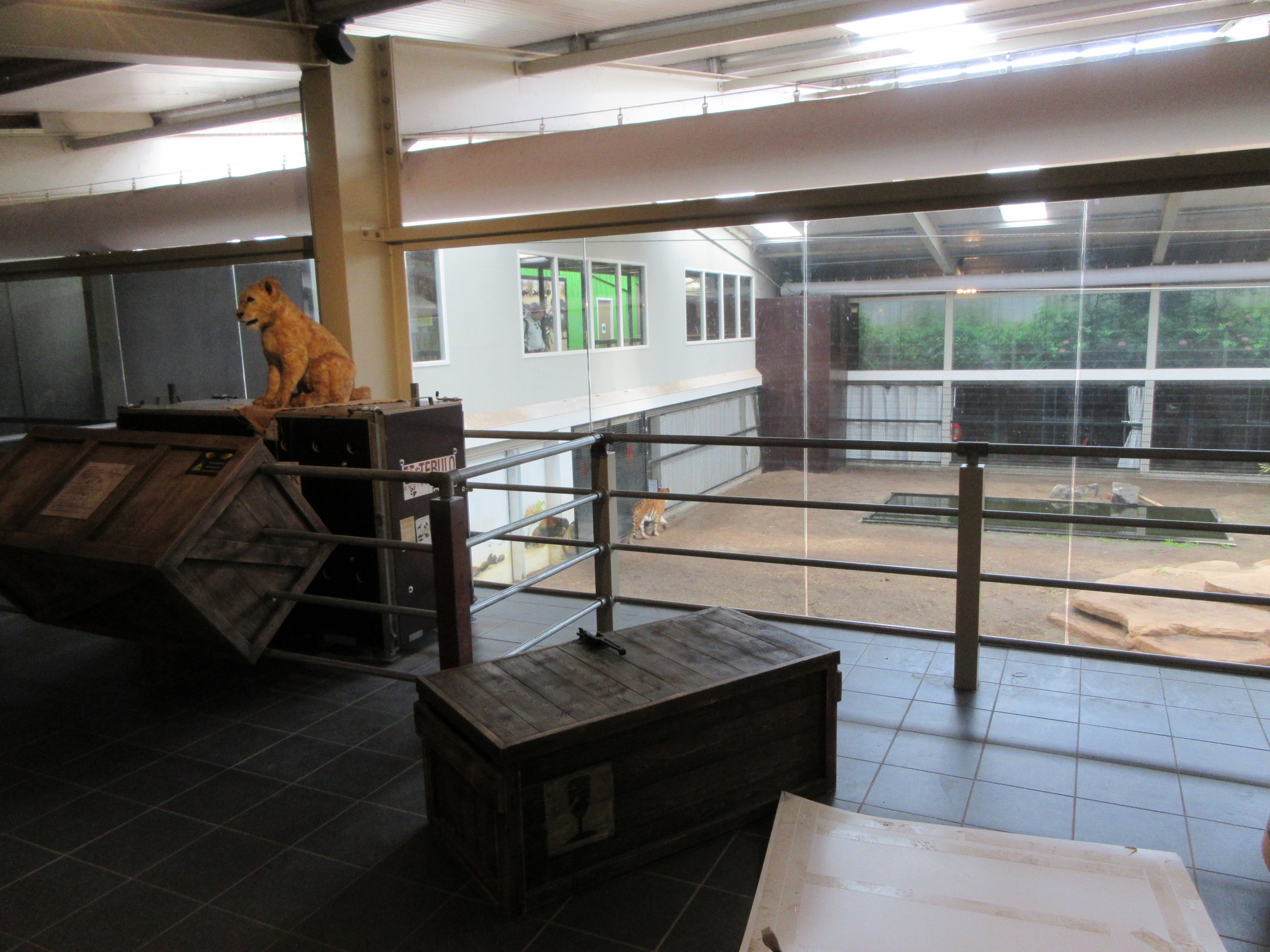 Big Cat Complex - Pedagogical Material