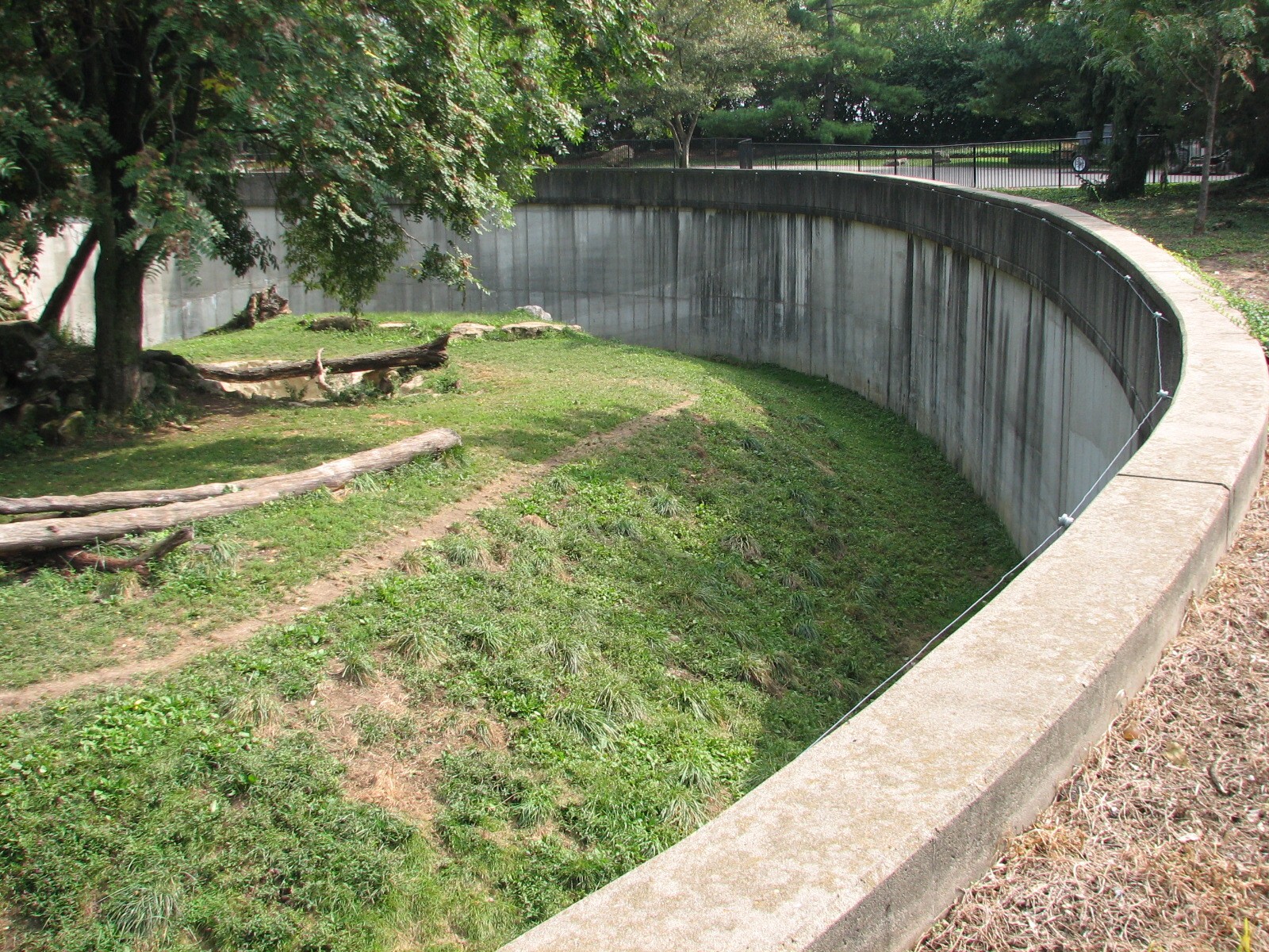 Big Cat Country - African Lion Exhibit
