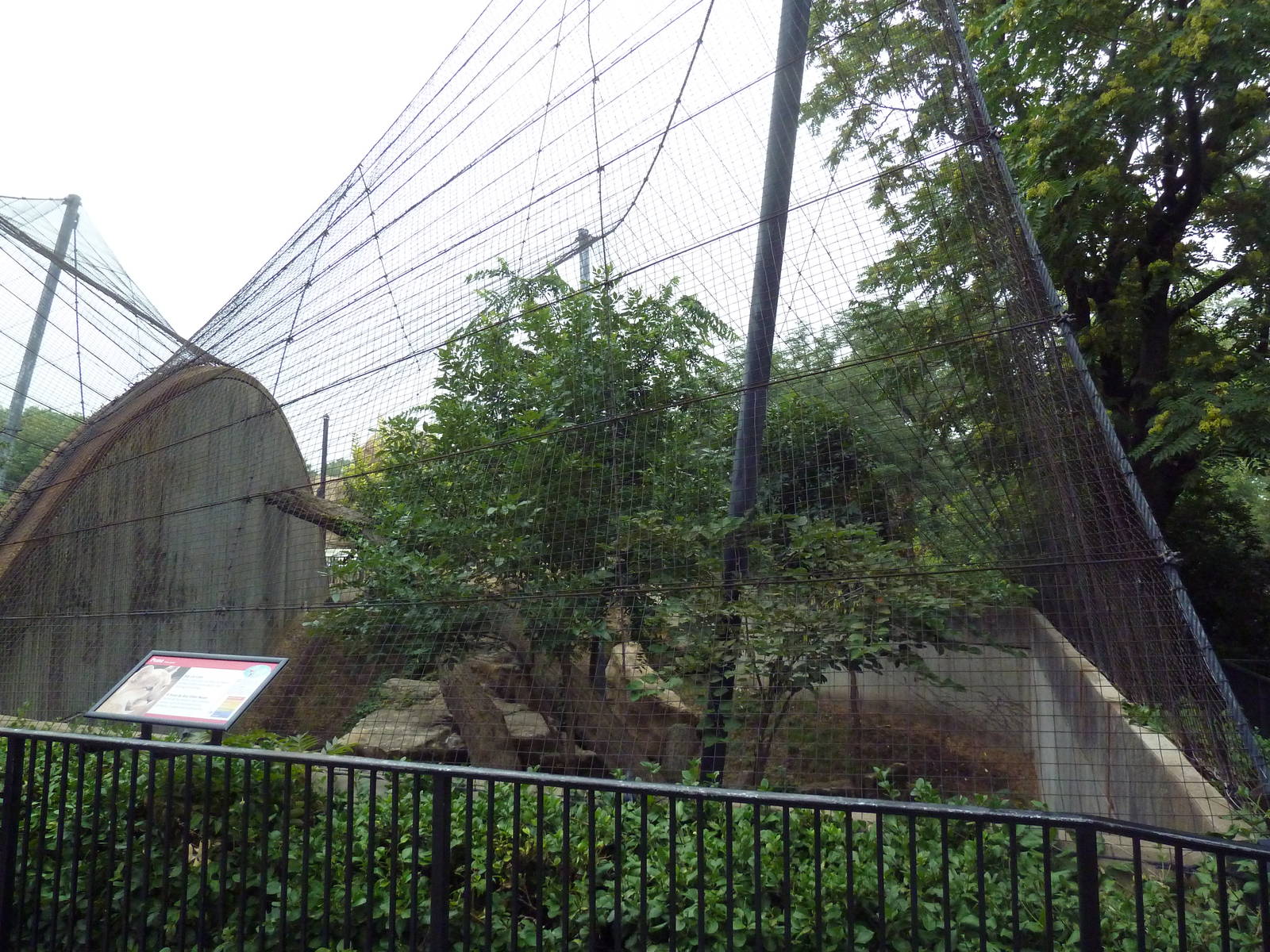 Big Cat Country - Cougar Exhibit