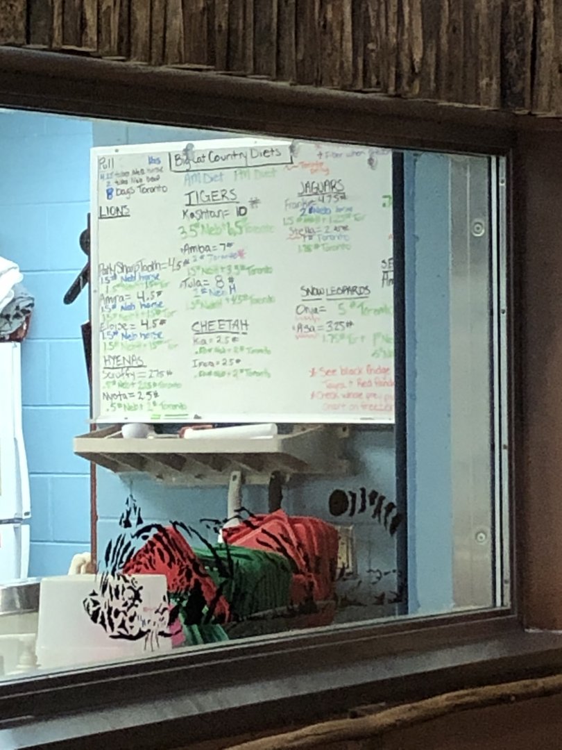 Big Cat Country Feeding Chart