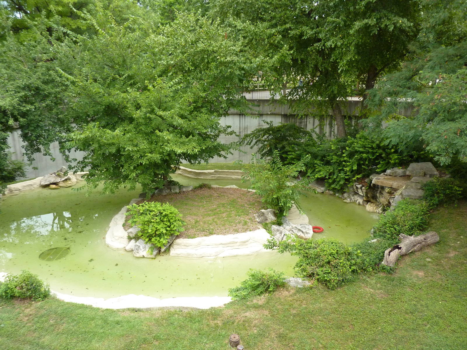 Big Cat Country - Jaguar Exhibit