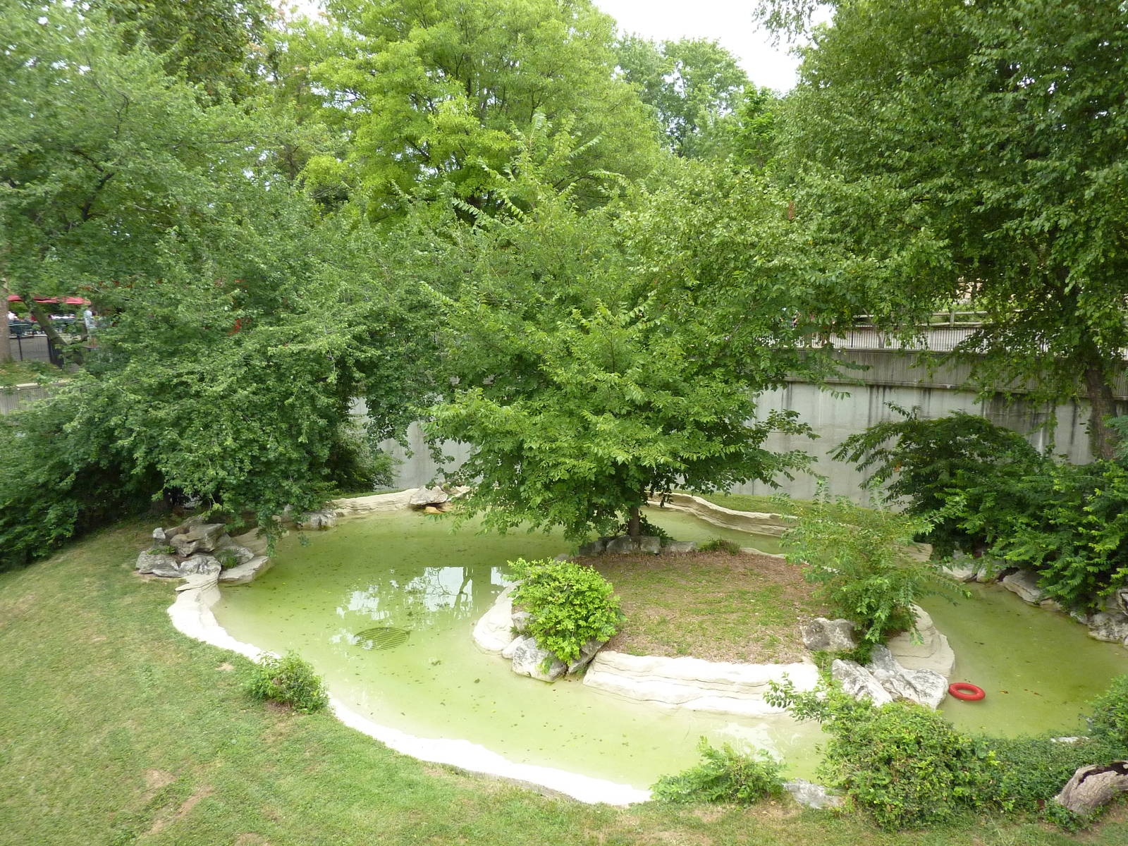 Big Cat Country - Jaguar Exhibit