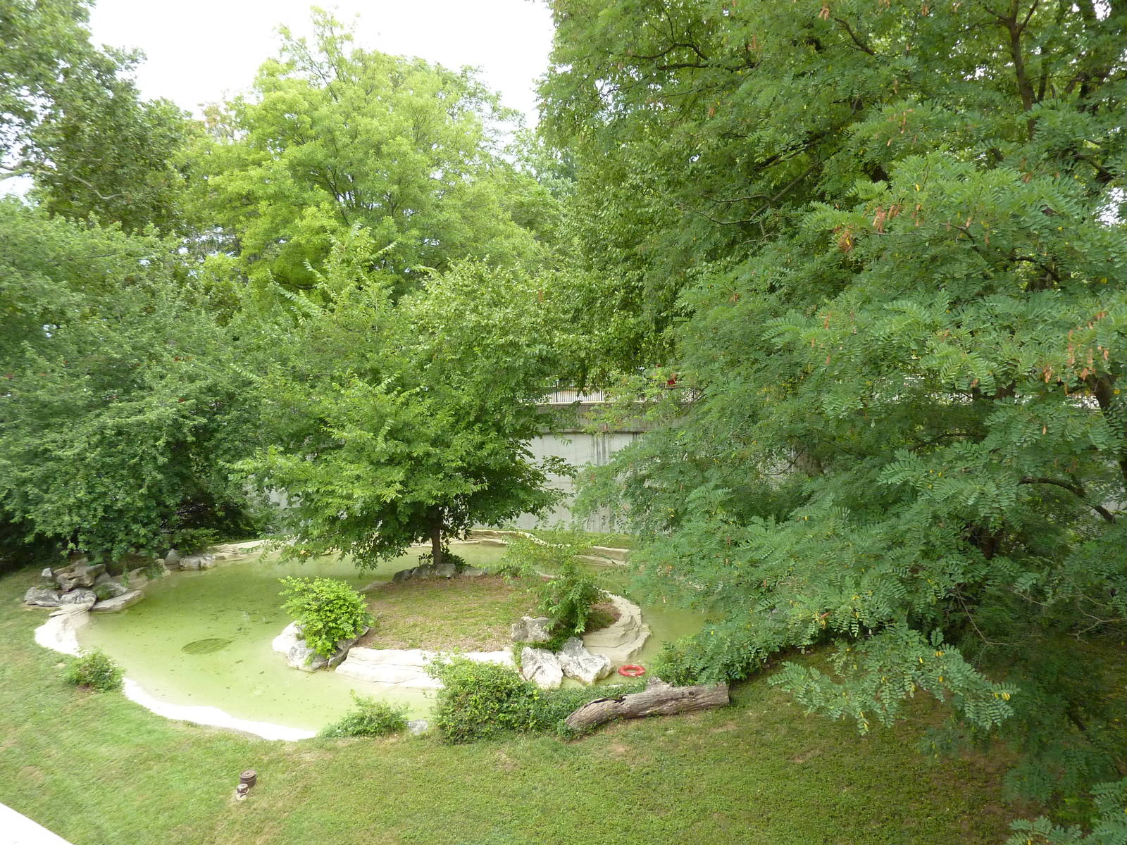 Big Cat Country - Jaguar Exhibit