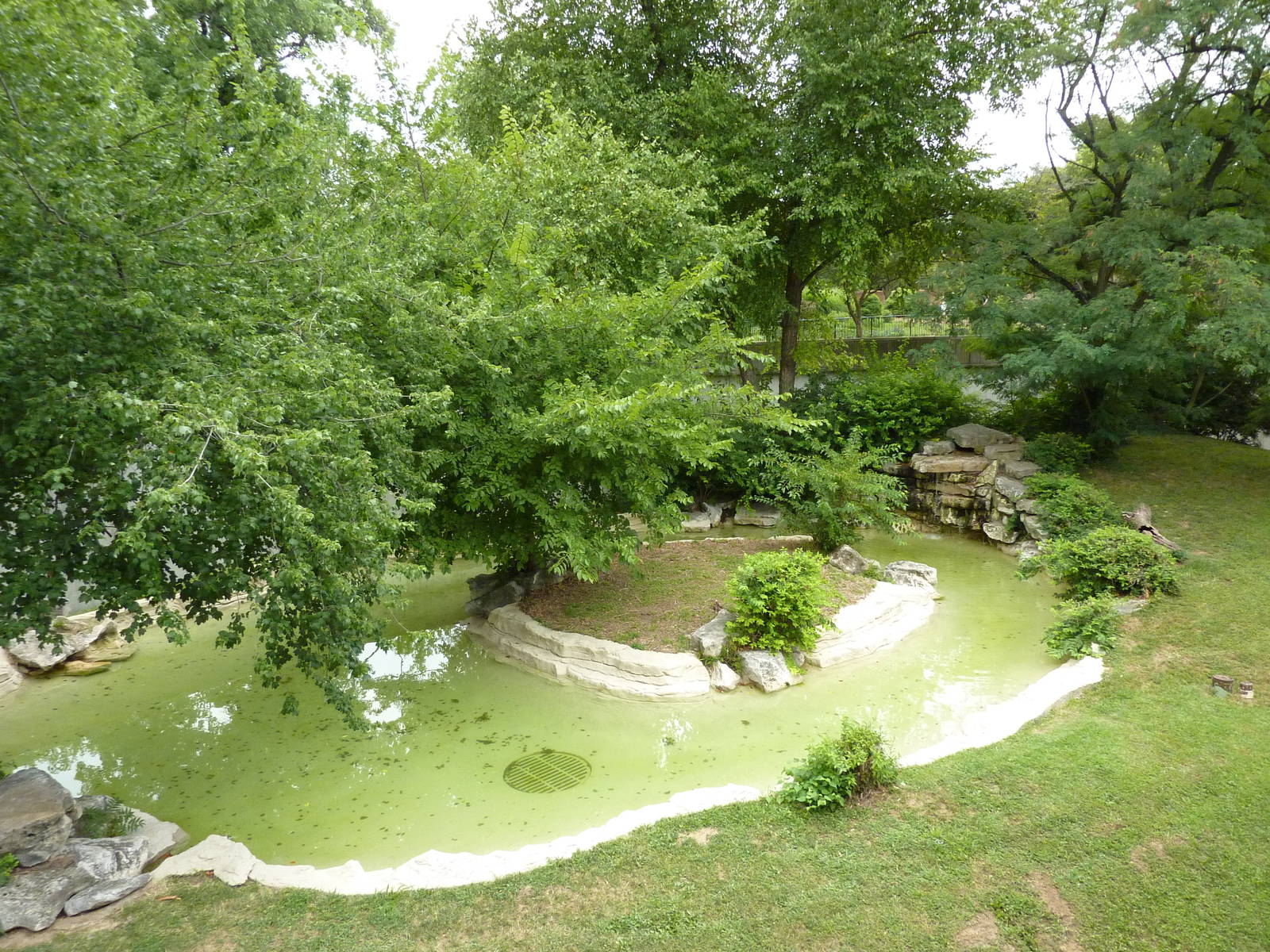 Big Cat Country - Jaguar Exhibit