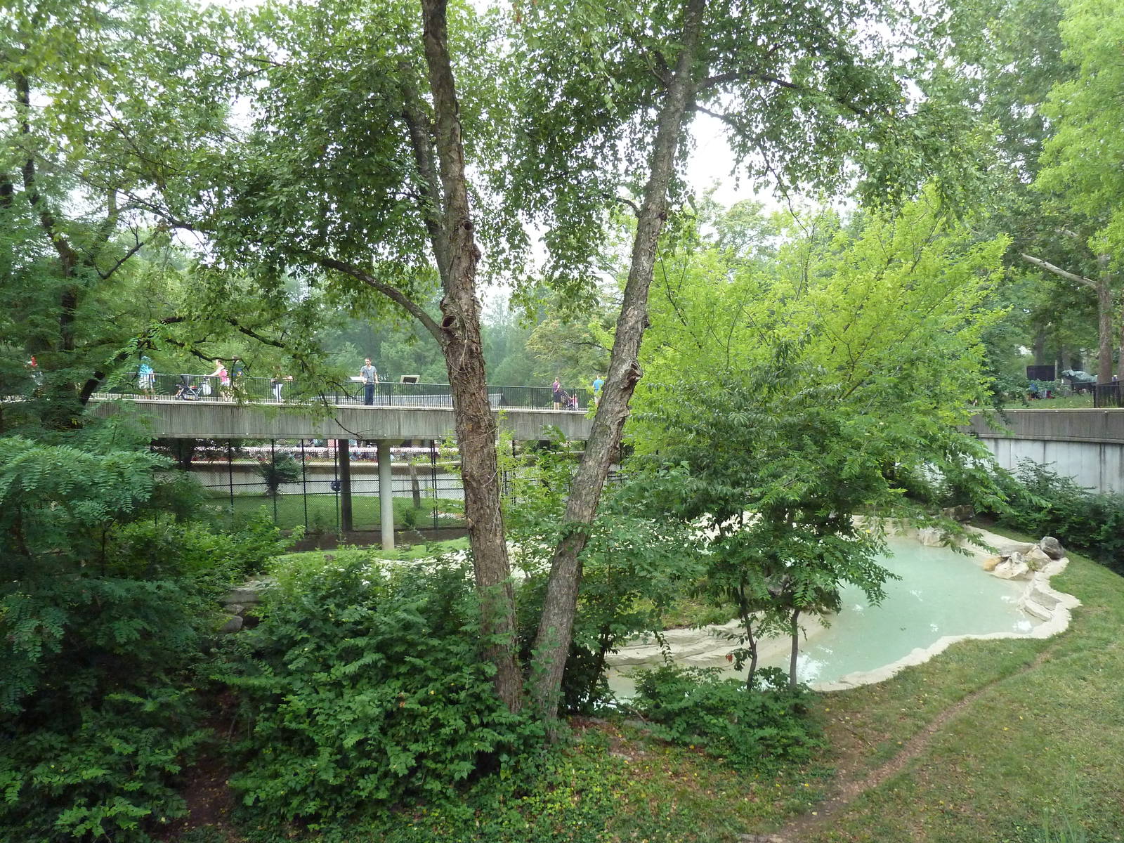 Big Cat Country - Jaguar Exhibit