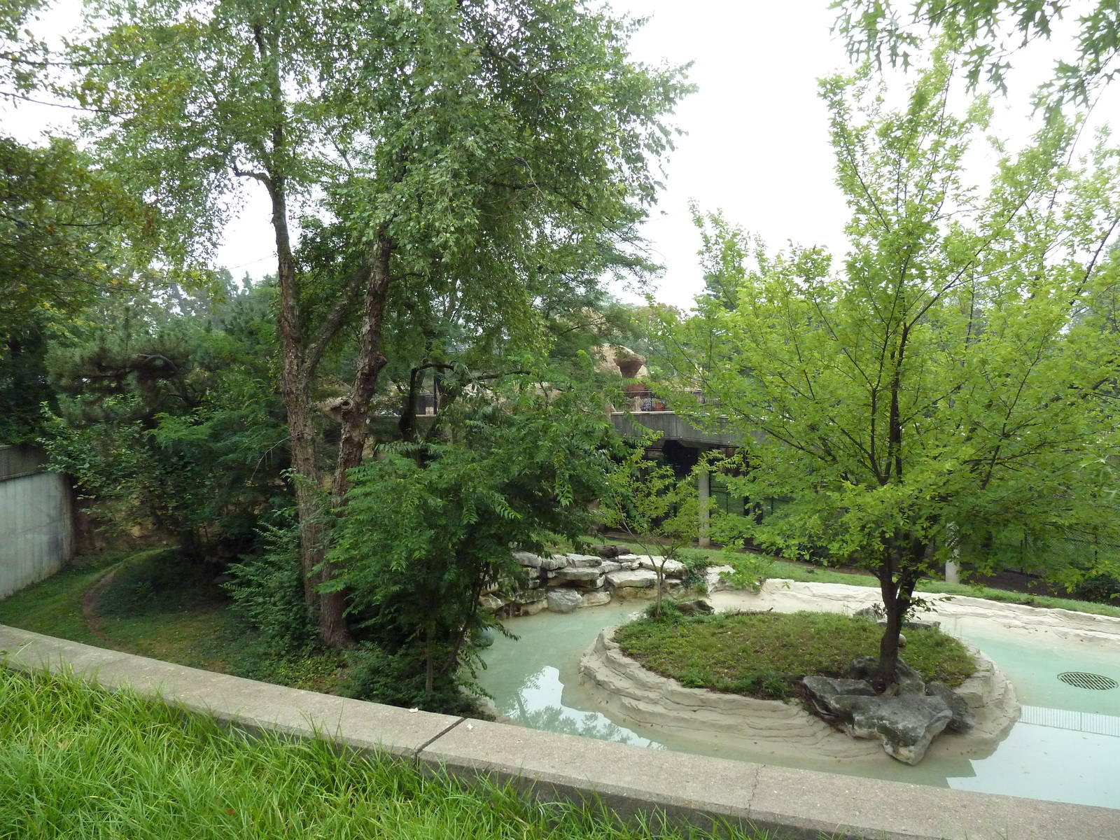 Big Cat Country - Jaguar Exhibit