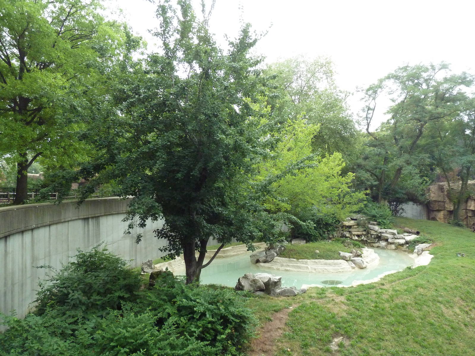 Big Cat Country - Jaguar Exhibit