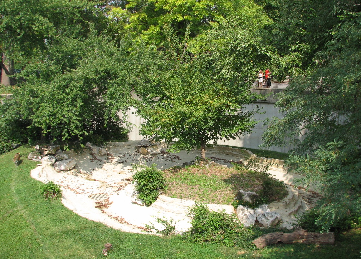 Big Cat Country - Jaguar Exhibit