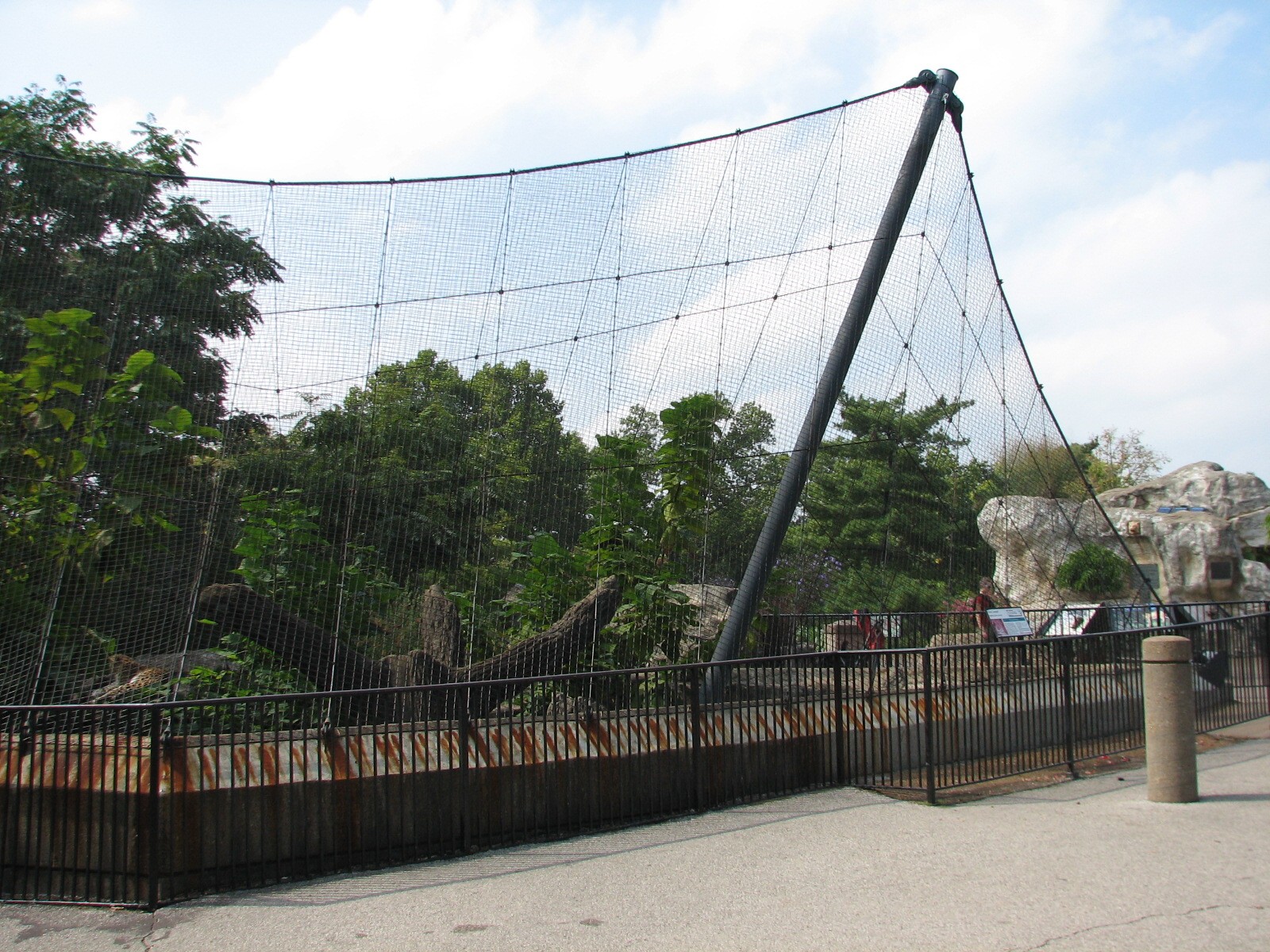Big Cat Country - Leopard Exhibit