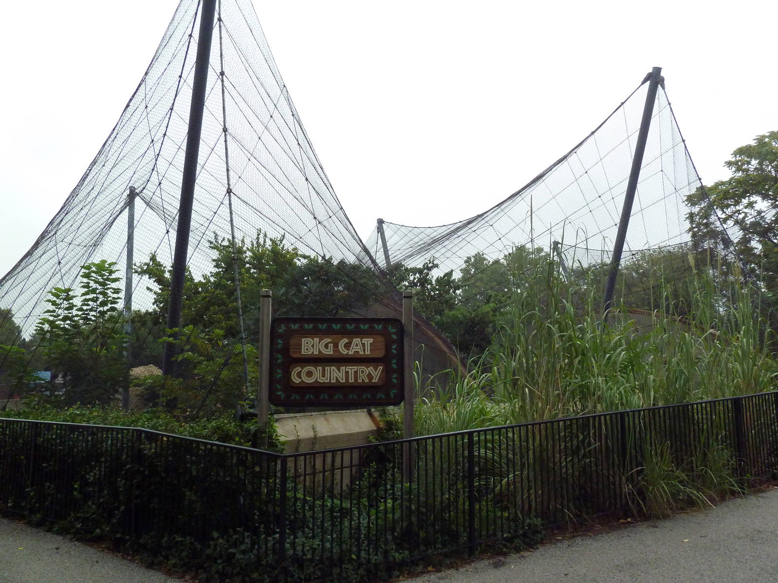 Big Cat Country - Mesh Exhibits