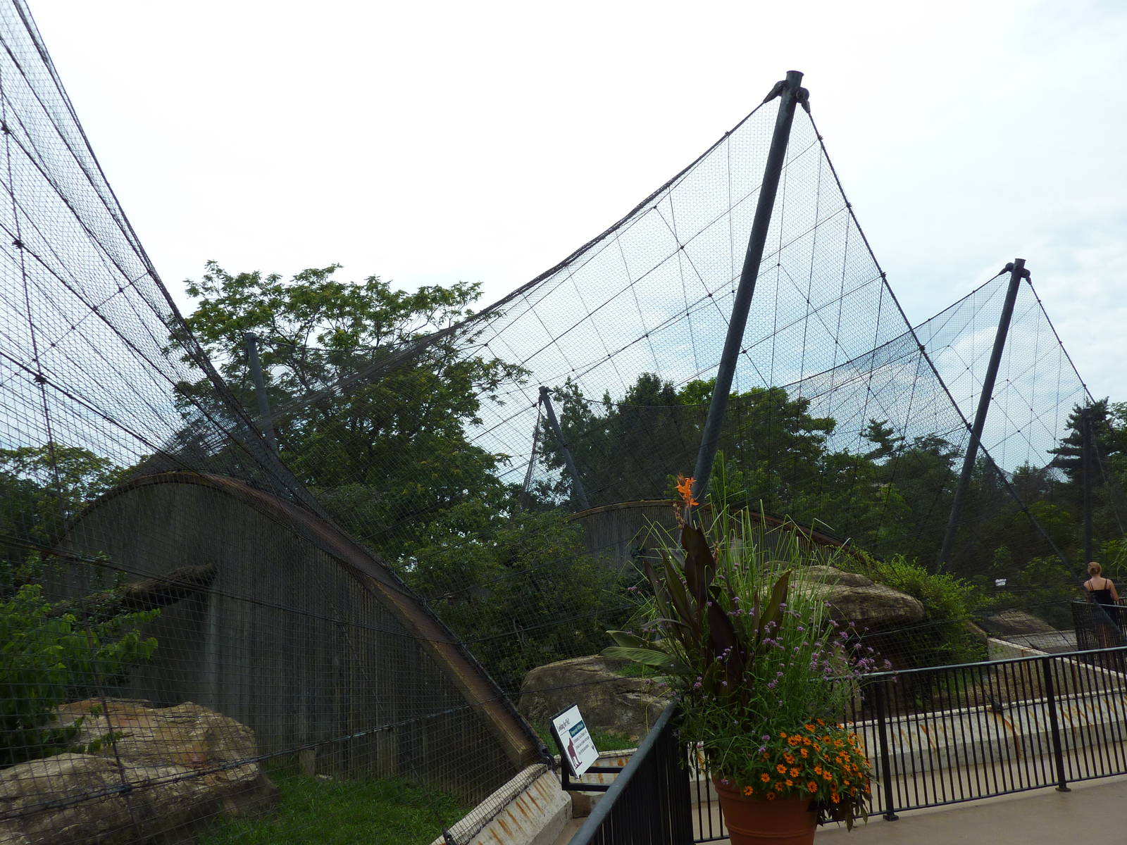 Big Cat Country - Snow Leopard + Amur Leopard Exhibits