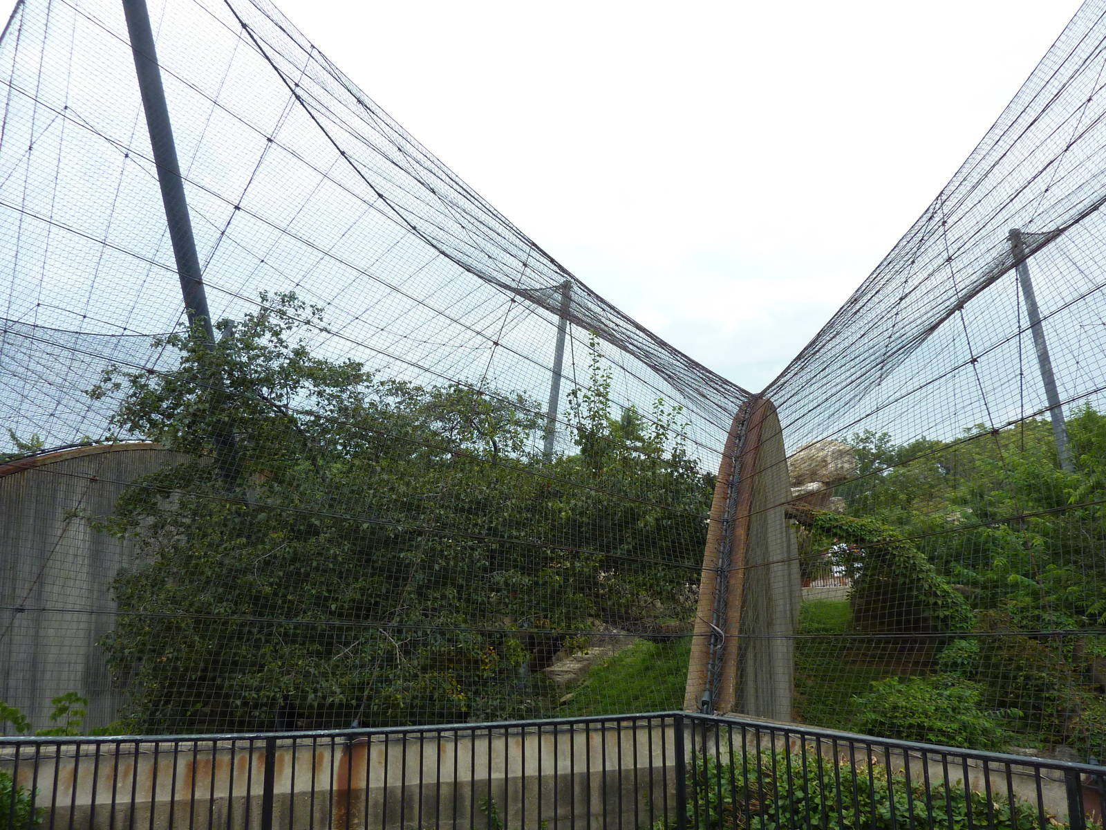 Big Cat Country - Snow Leopard + Amur Leopard Exhibits