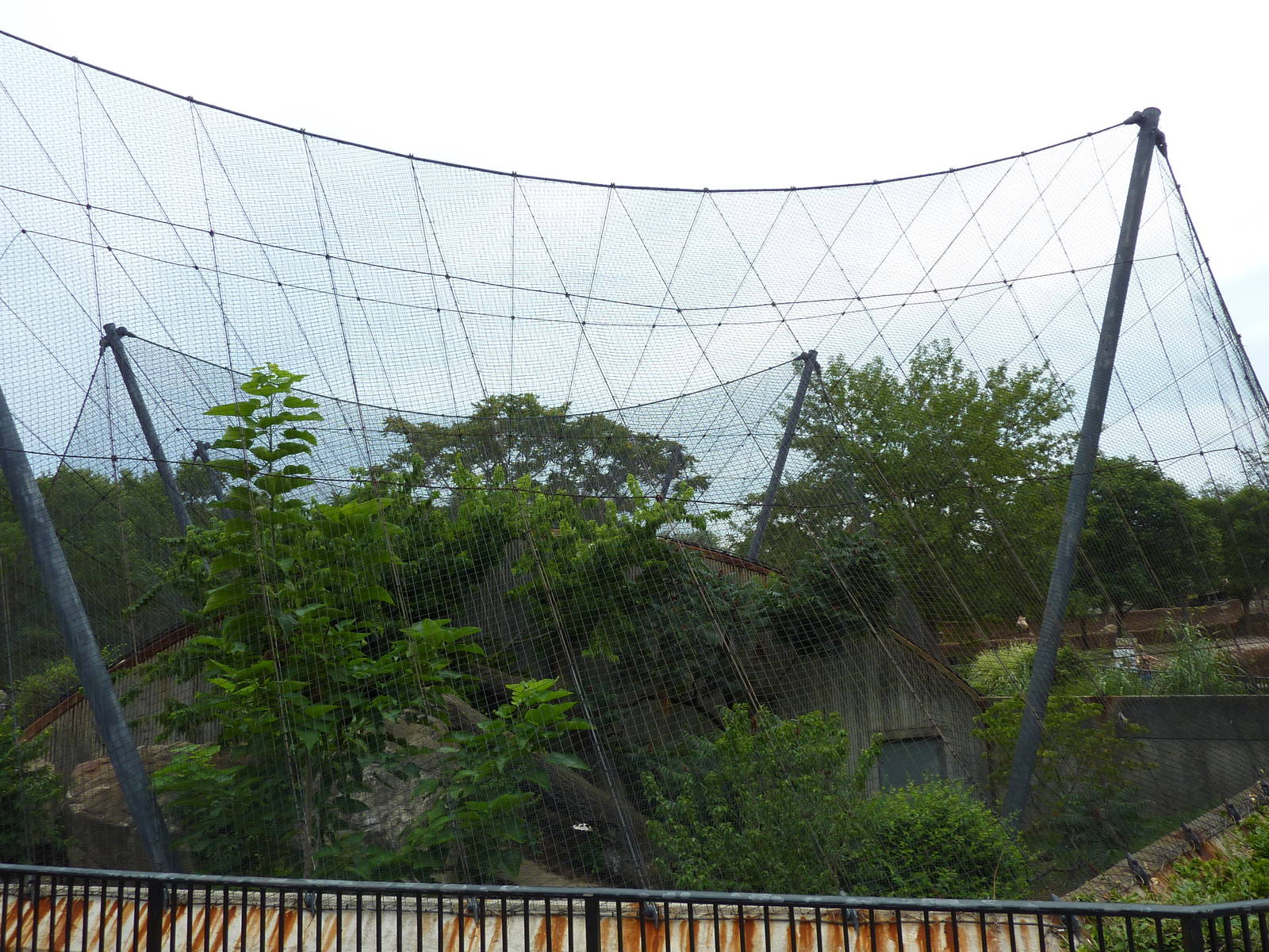 Big Cat Country - Snow Leopard Exhibit