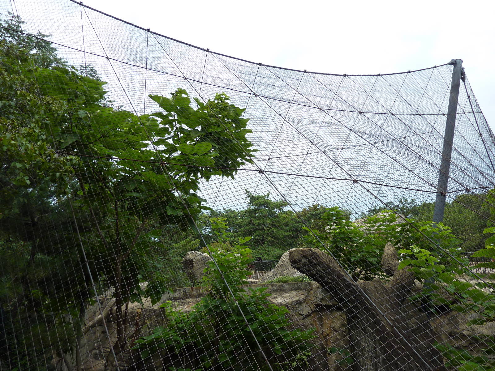 Big Cat Country - Snow Leopard Exhibit