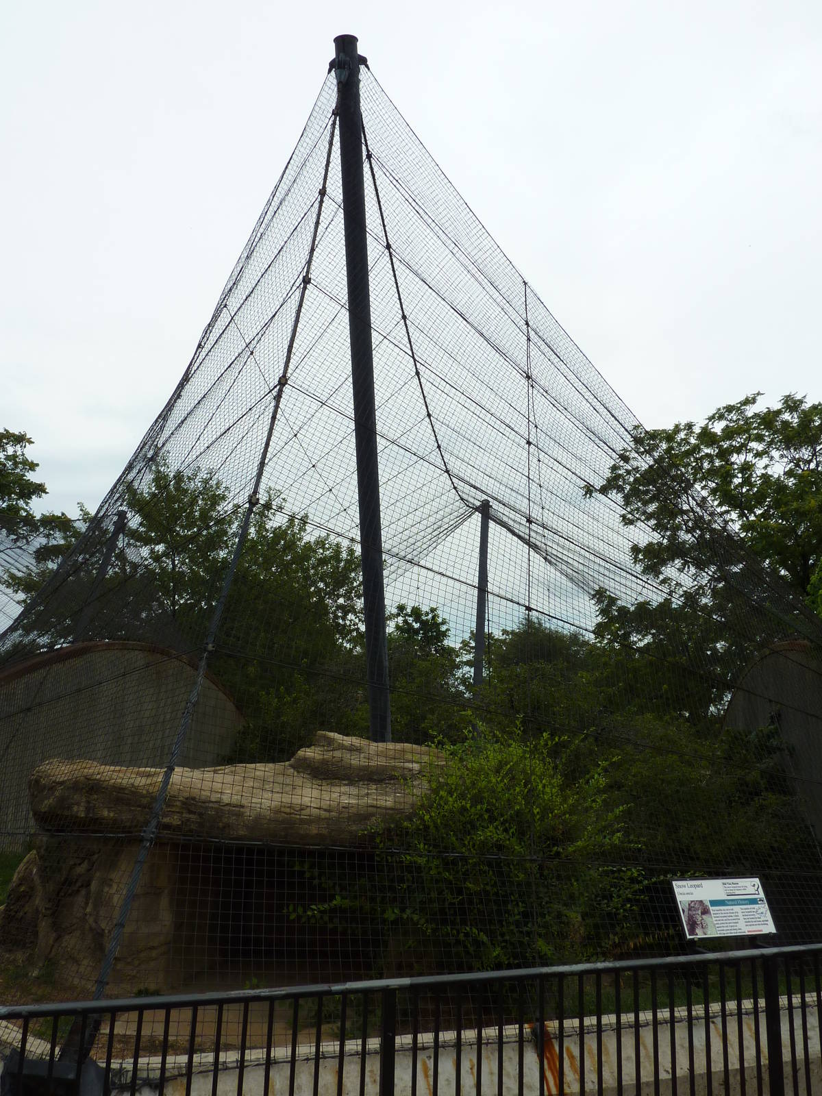 Big Cat Country - Snow Leopard Exhibit