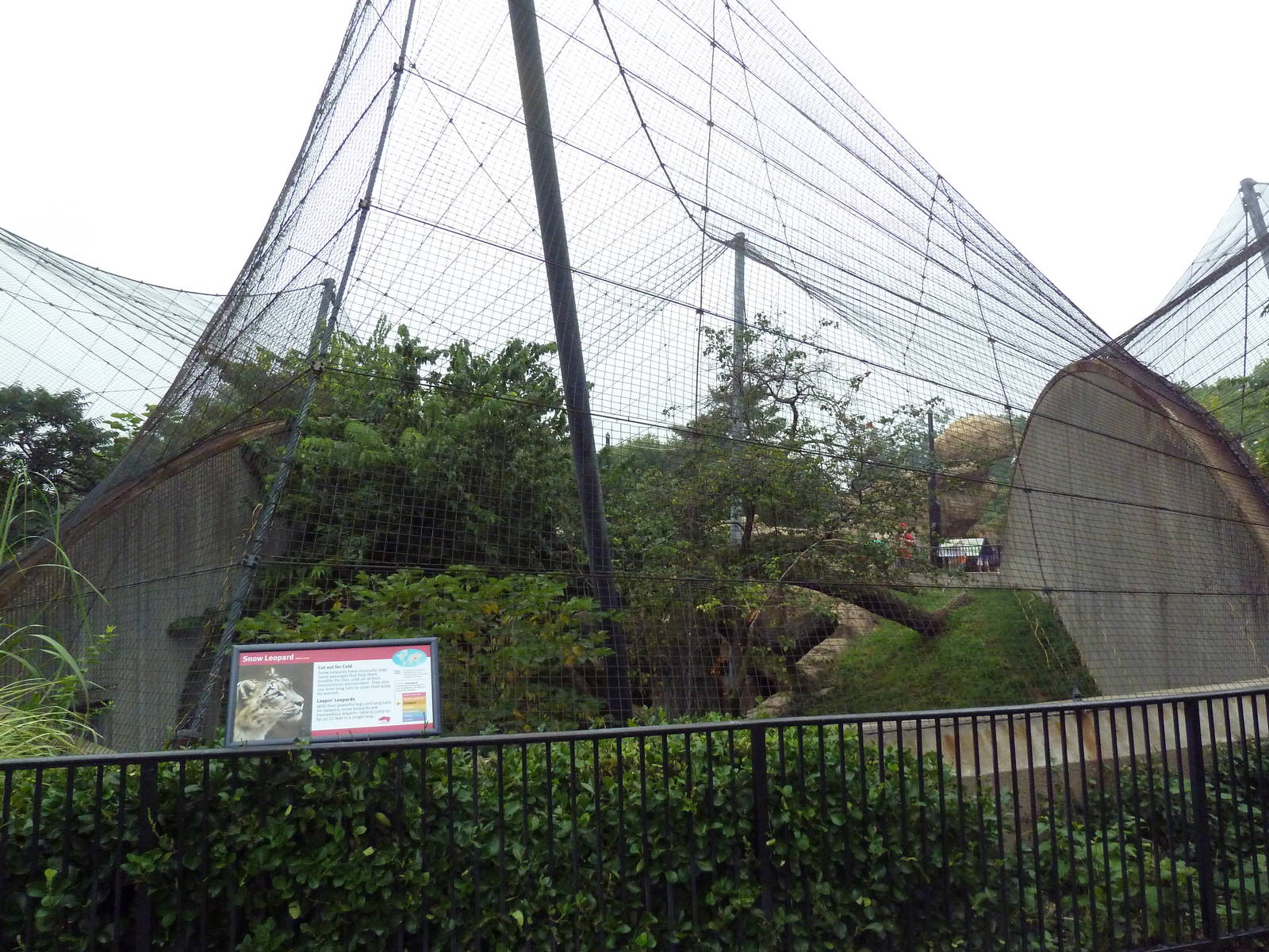 Big Cat Country - Snow Leopard Exhibit