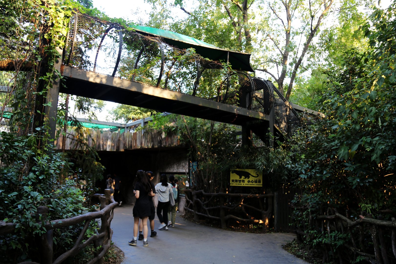 Big Cat Crossing, Philadelphia Style