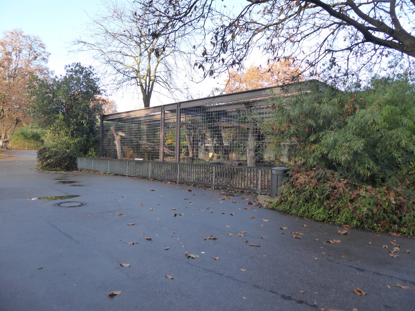 Big cat enclosure 011218