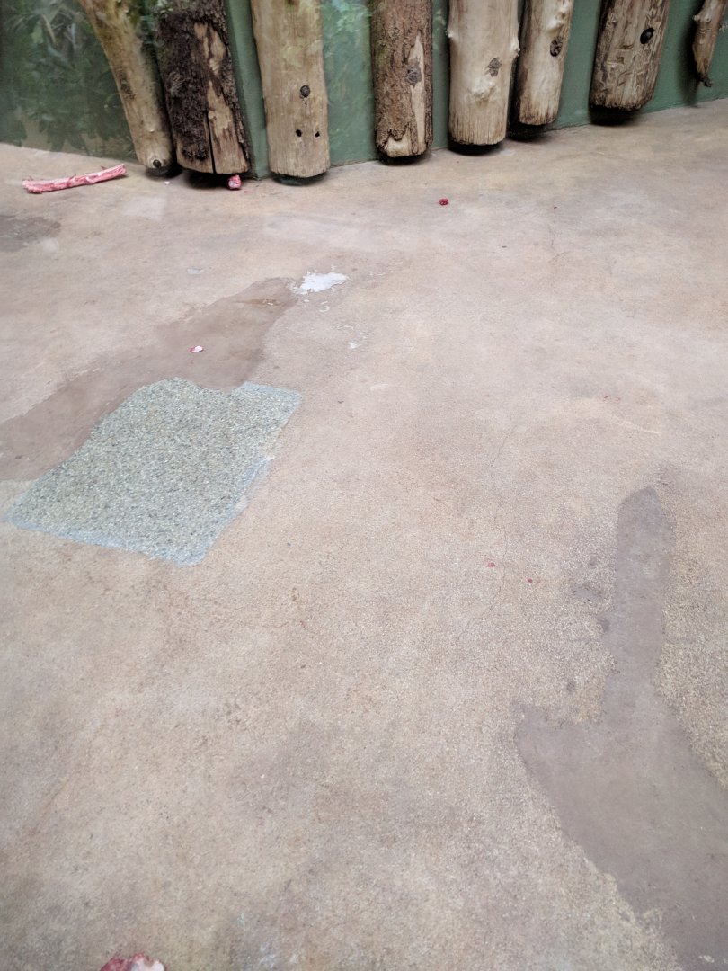 Big Cat Enclosure ID Zoo Praha 2018