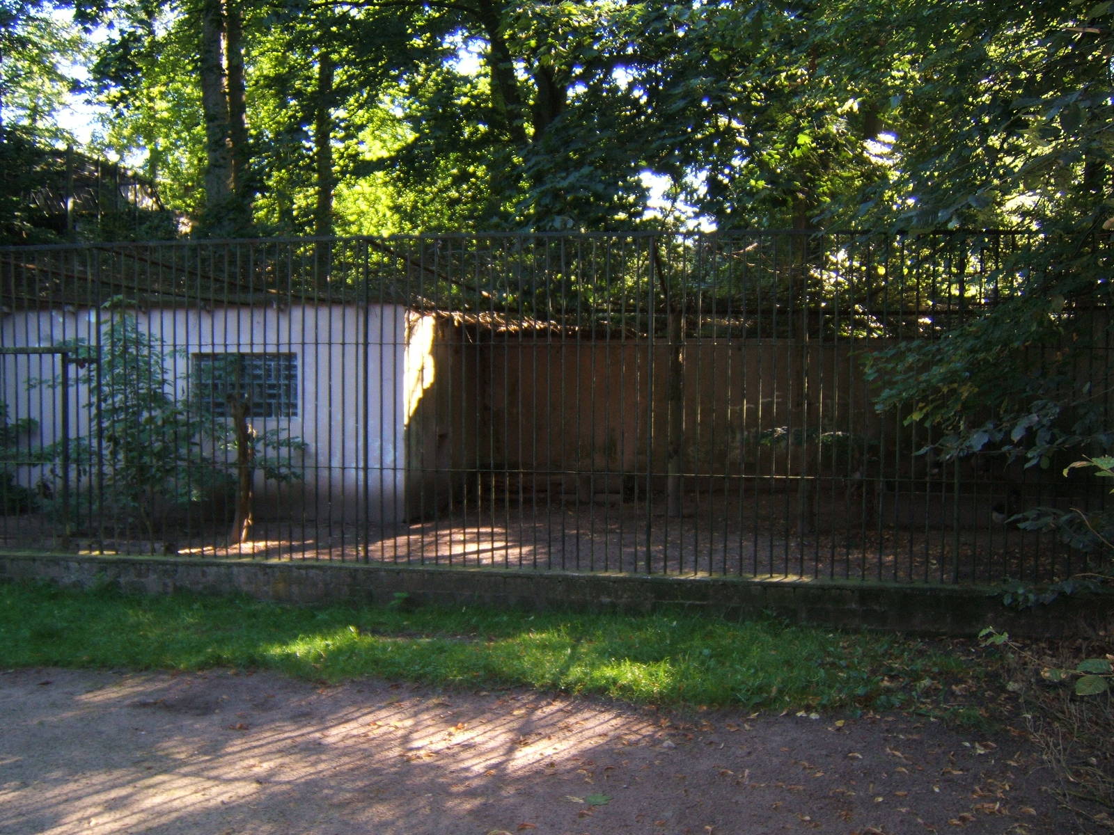 Big Cat enclosure view