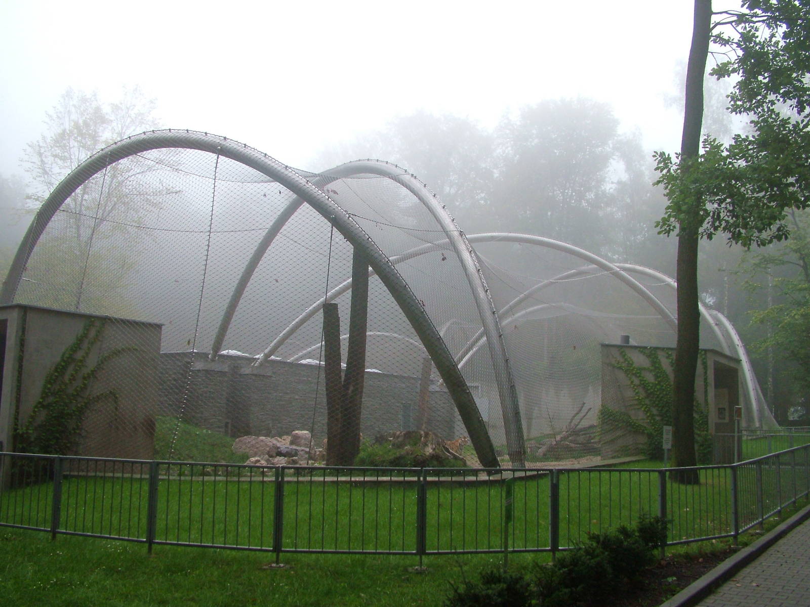 Big cat enclosures at Krakow 08/09/2008