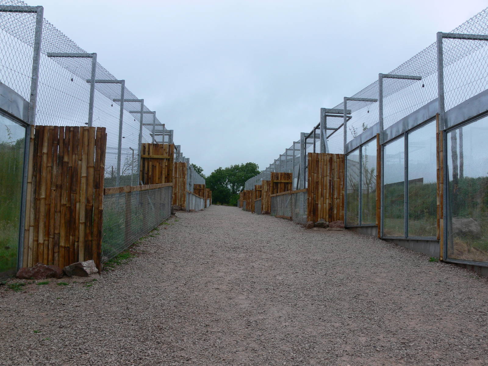 Big Cat Exhibits at South Lakes, 04/07/14