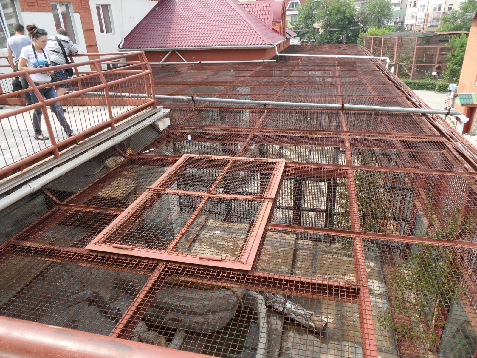 Big cat exhibits, view from above