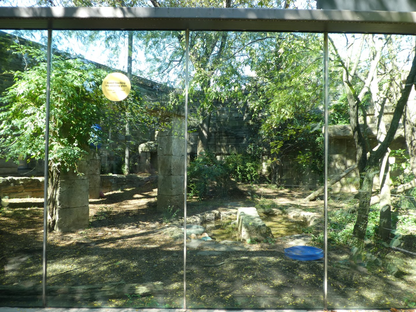 Big Cat Falls - Amur Leopard Exhibit