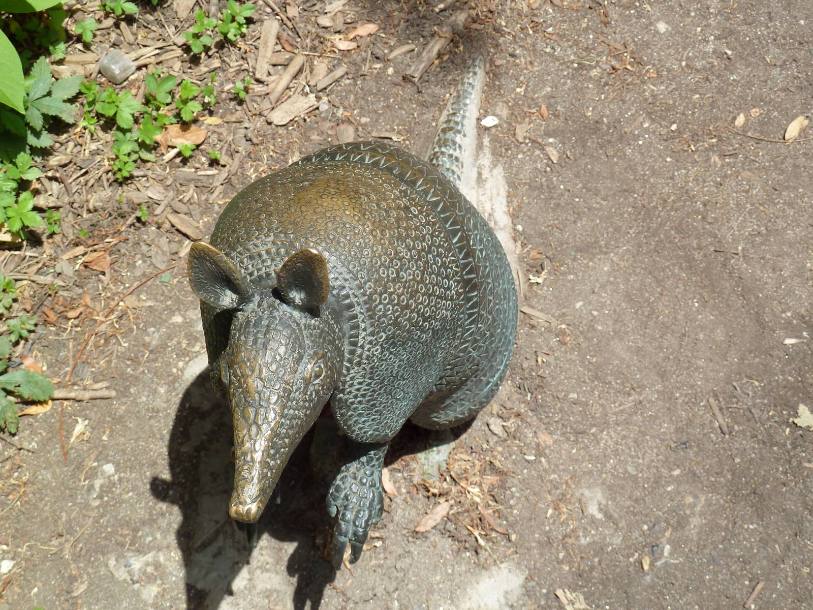 Big Cat Falls - Armadillo Statue