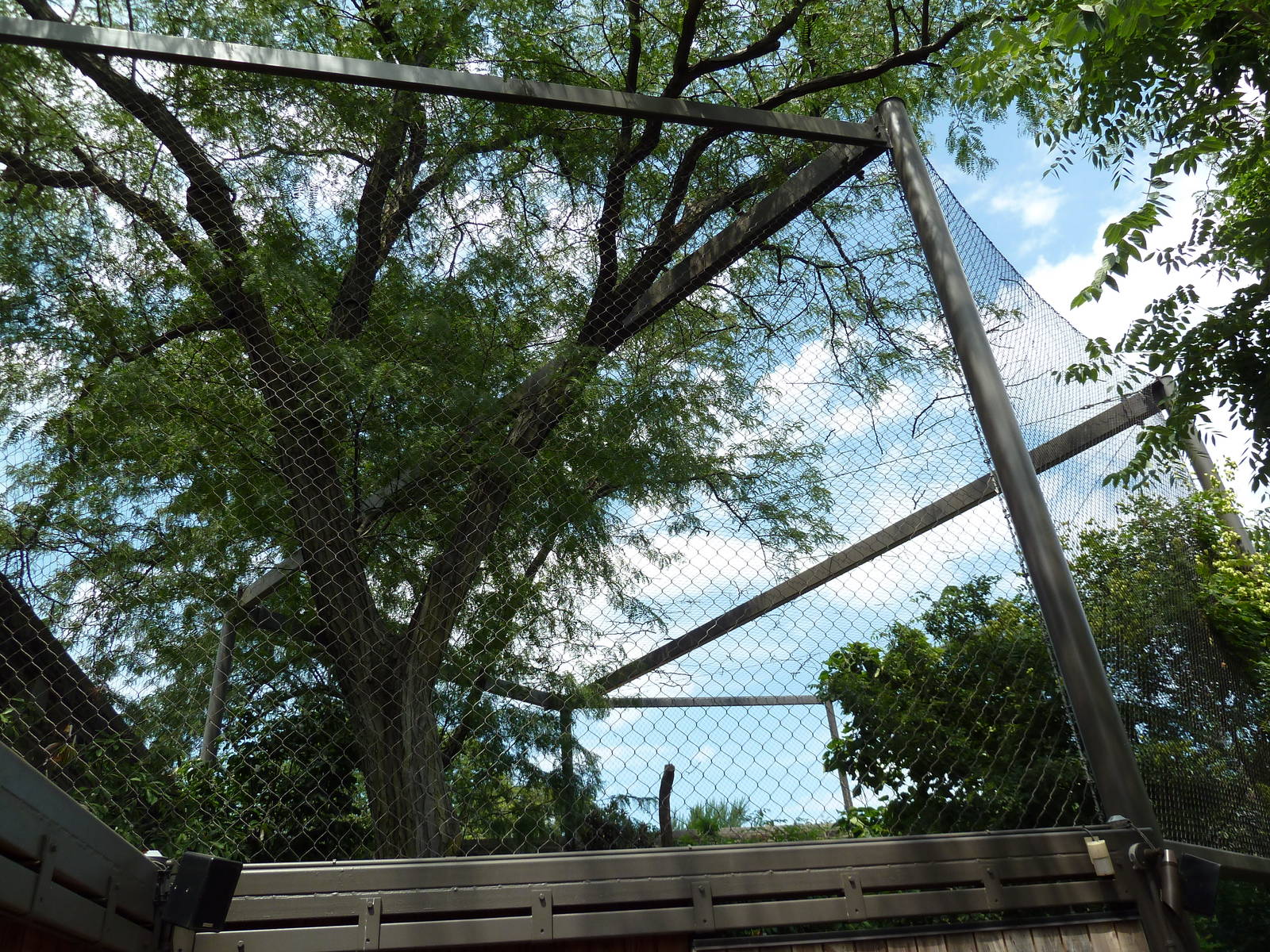 Big Cat Falls - Jaguar Exhibit