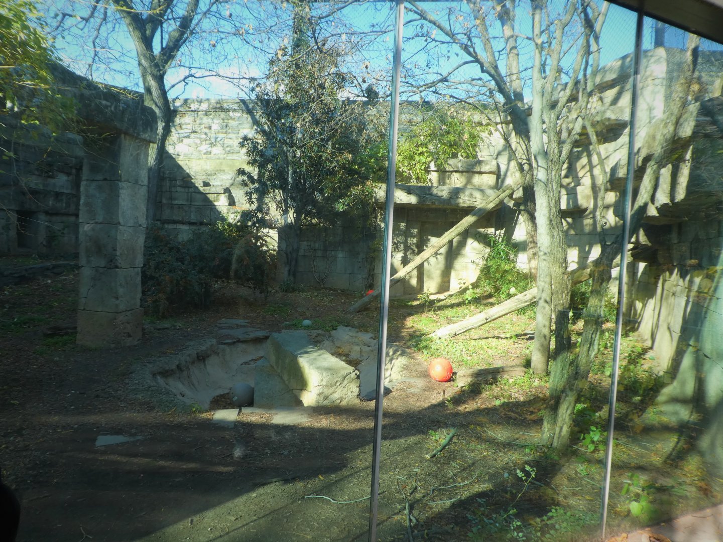 Big Cat Falls - Jaguar Exhibit