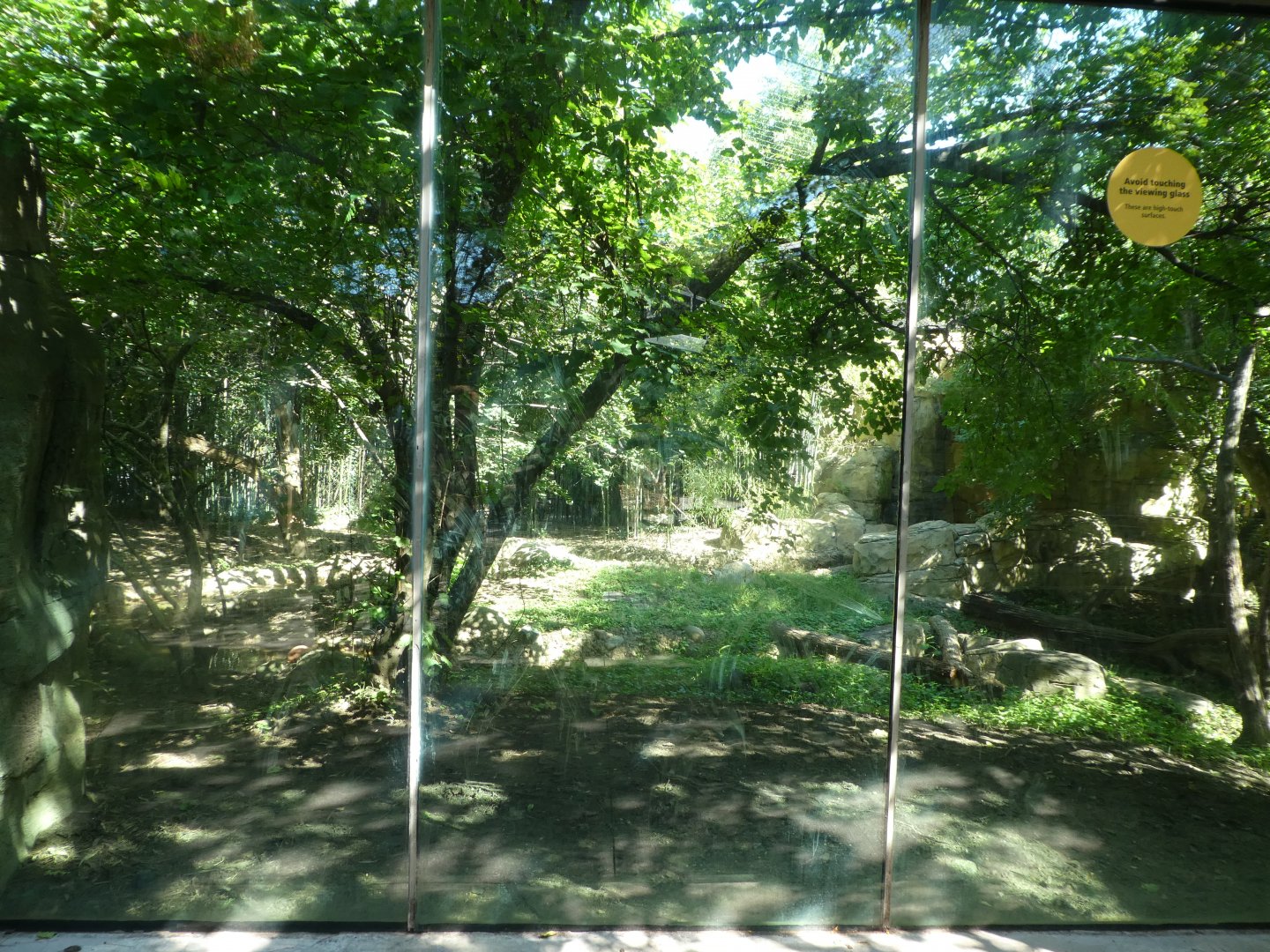 Big Cat Falls - Snow Leopard Exhibit