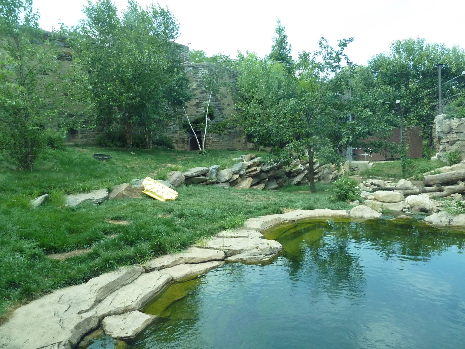 Big Cat Falls - Tiger Exhibit