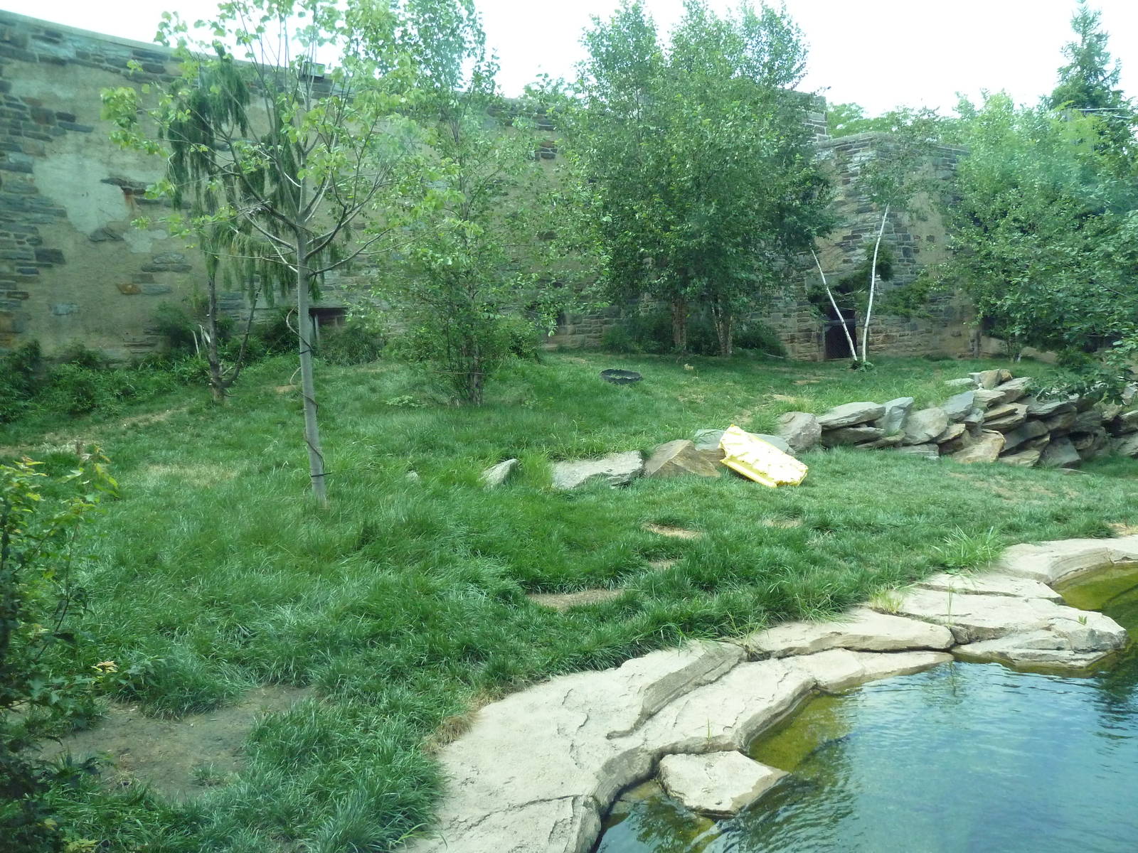 Big Cat Falls - Tiger Exhibit