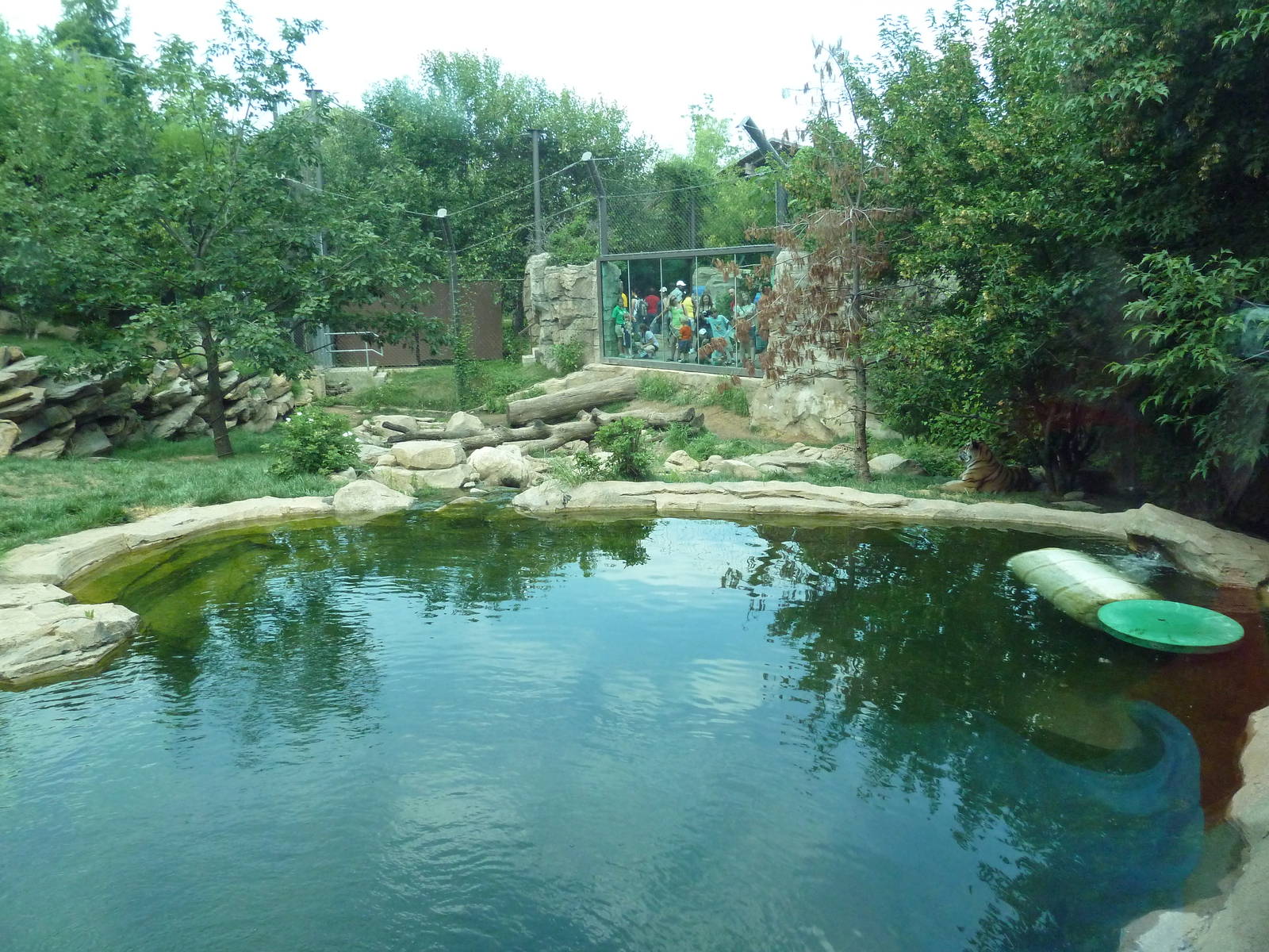 Big Cat Falls - Tiger Exhibit