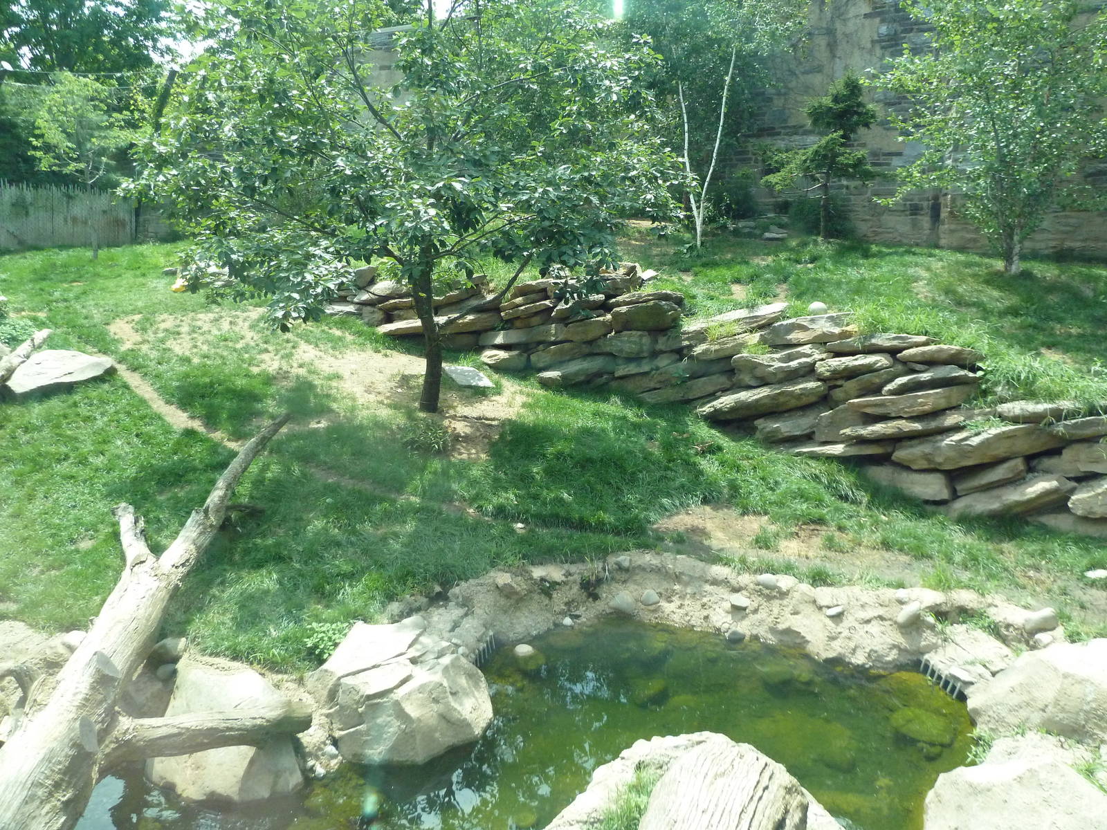 Big Cat Falls - Tiger Exhibit