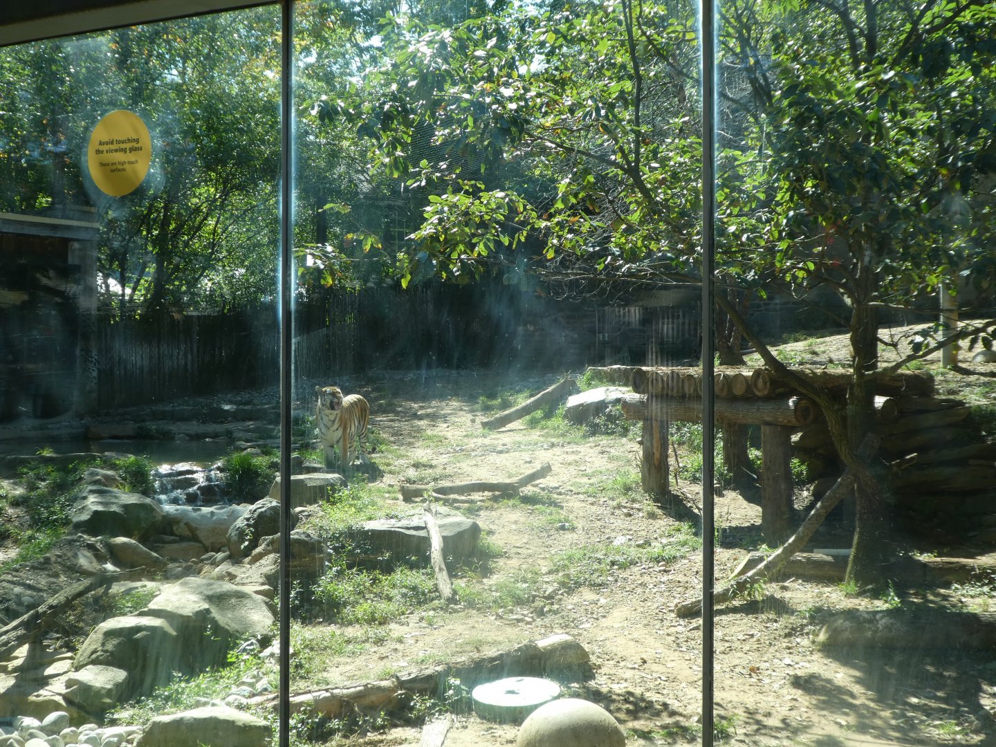 Big Cat Falls - Tiger Exhibit