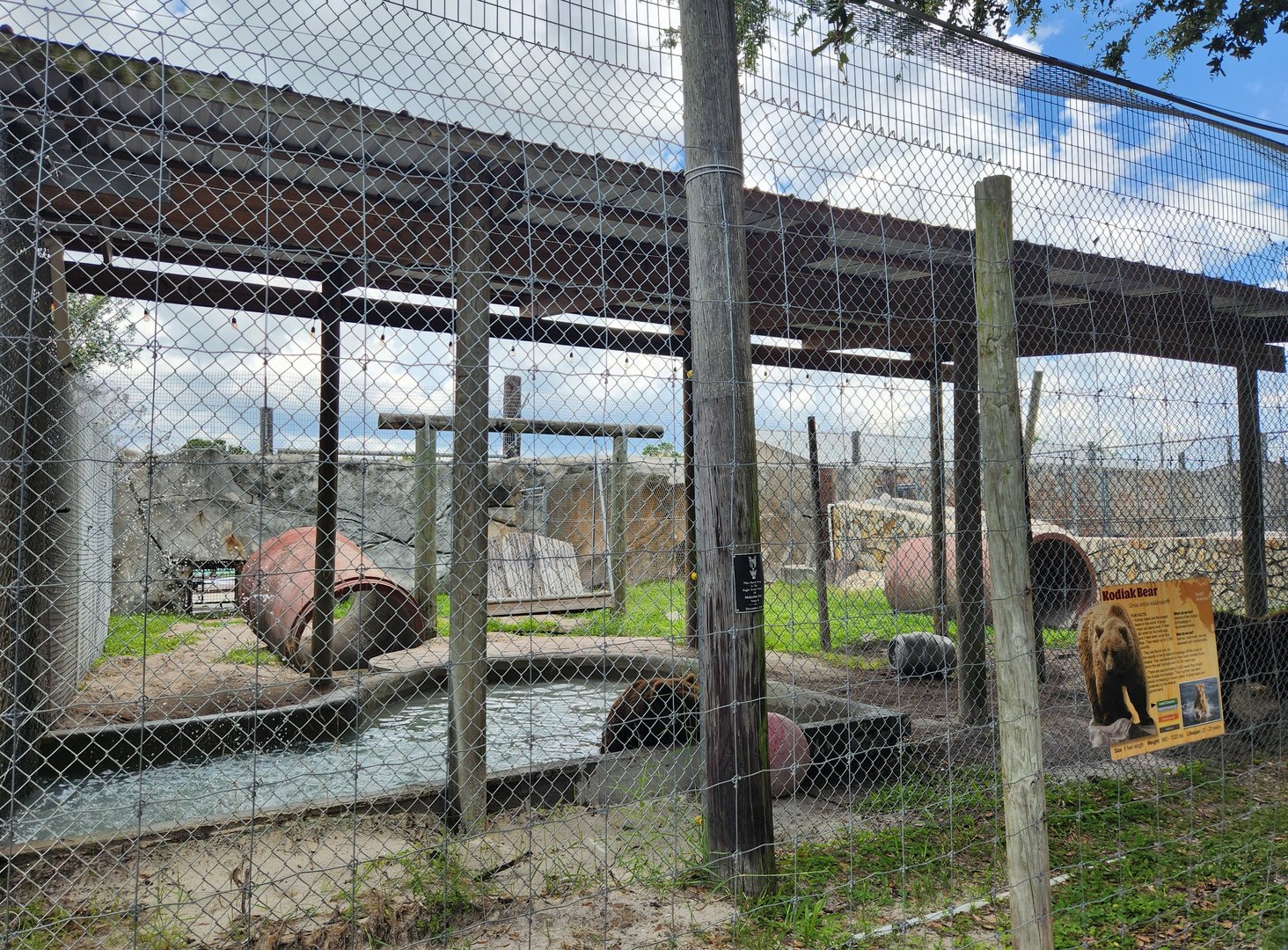 Big Cat Habitat - Kodiak Bear enclosure
