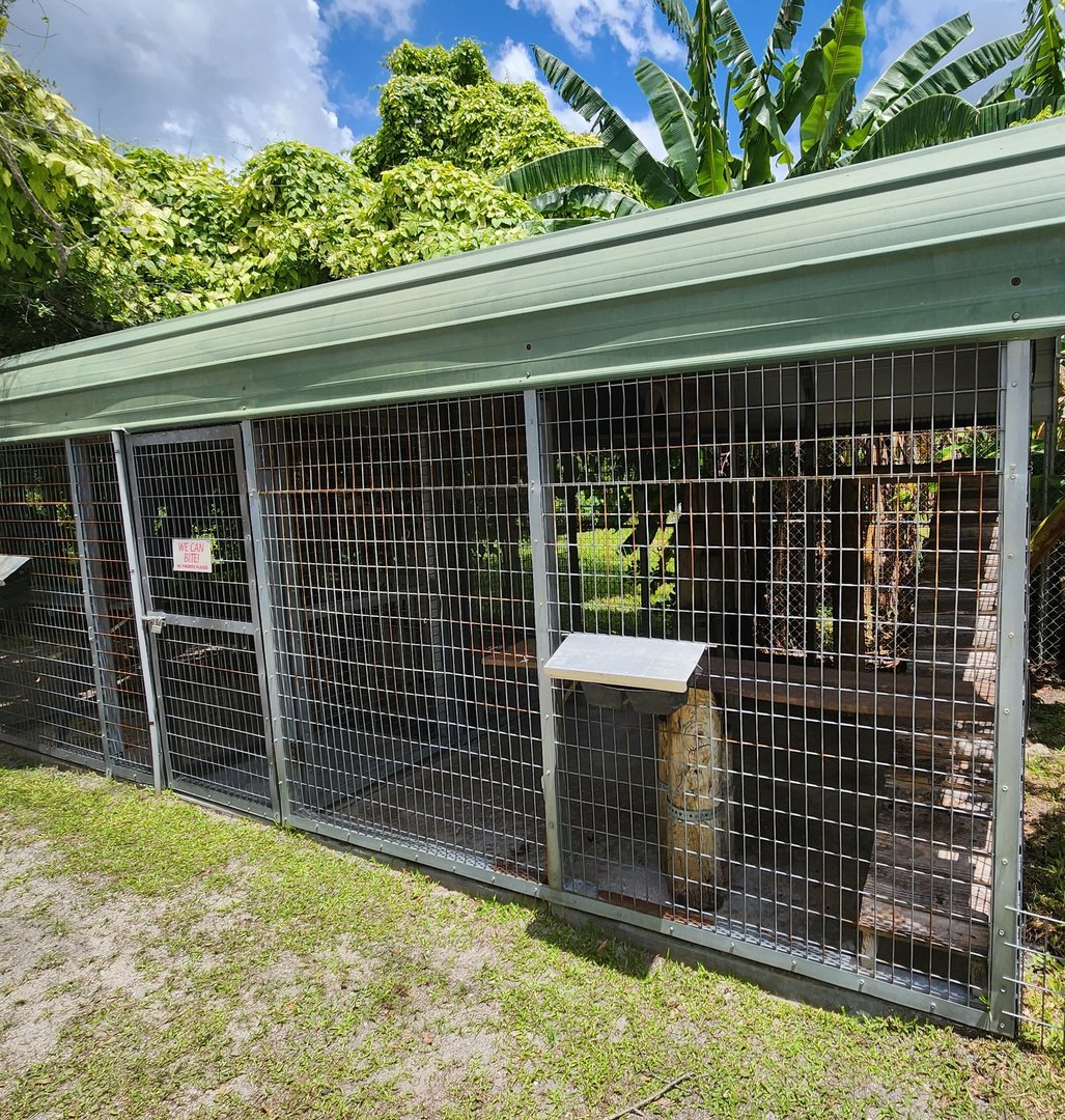 Big Cat Habitat - Lemur cages
