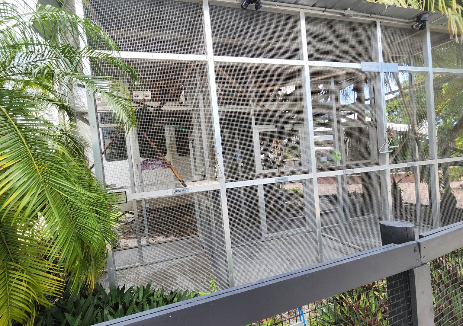 Big Cat Habitat - Marmoset "mansion"