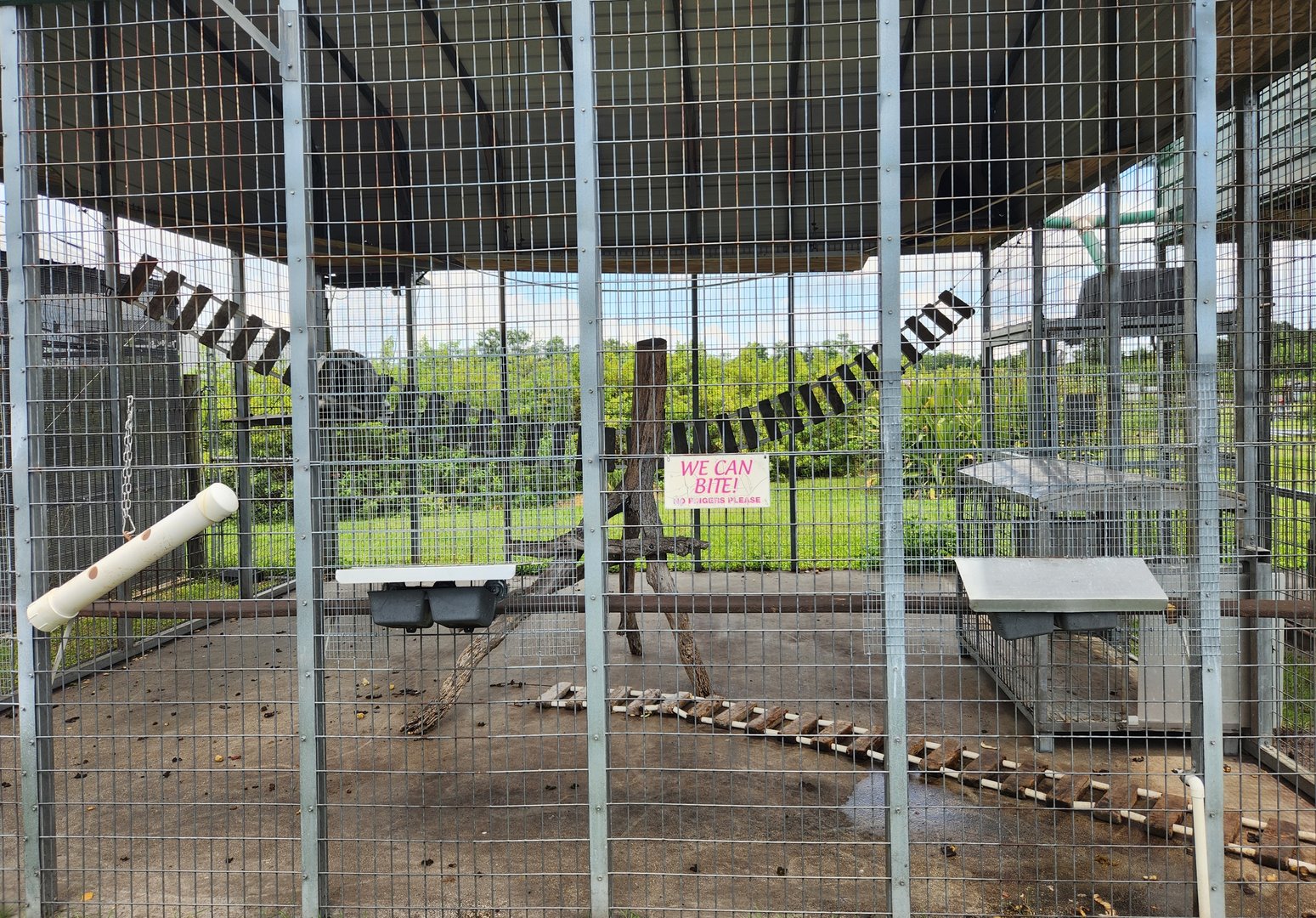 Big Cat Habitat - Monkey enclosure closeup