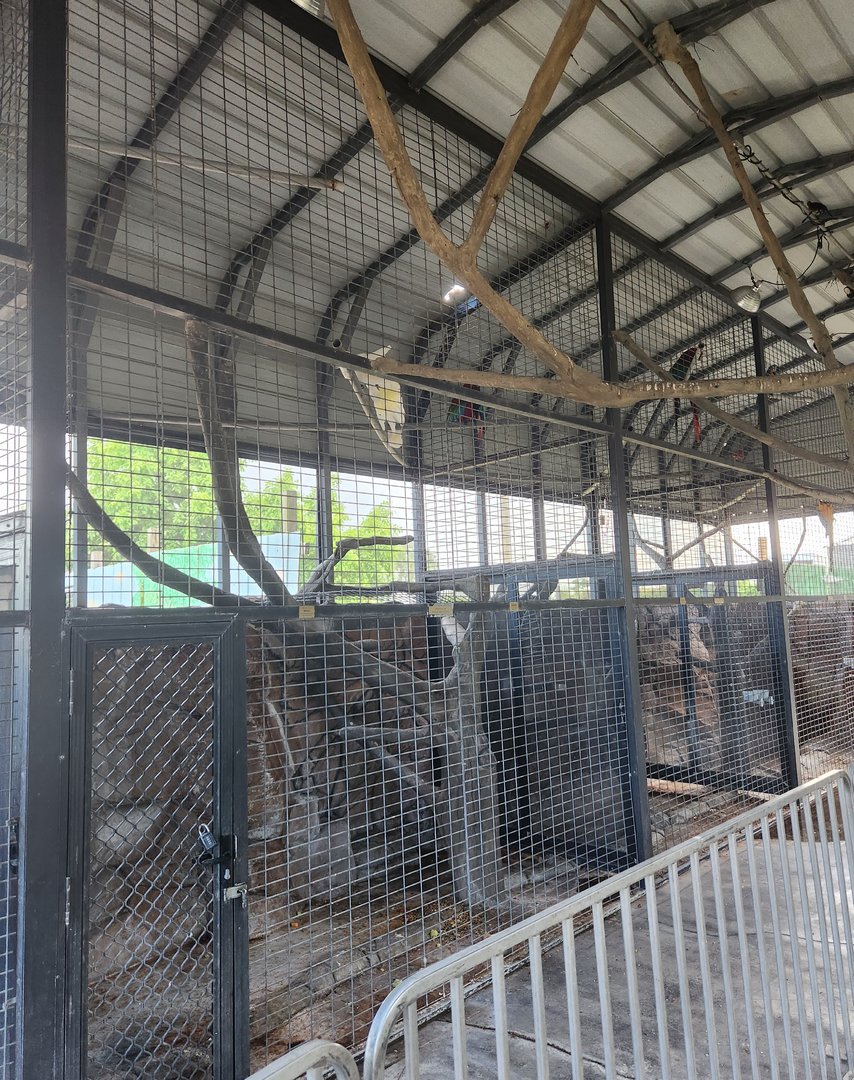 Big Cat Habitat - Parrots