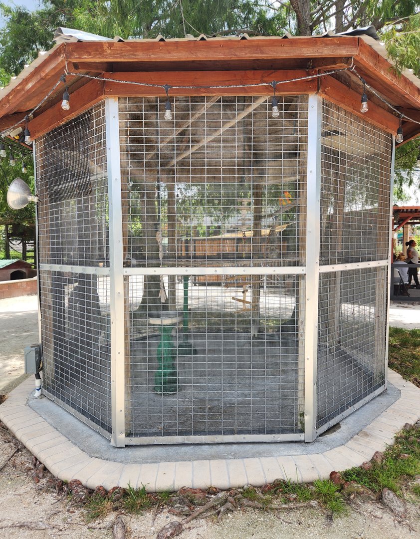 Big Cat Habitat - Sun Conure cage